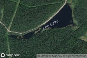 Log Lake
