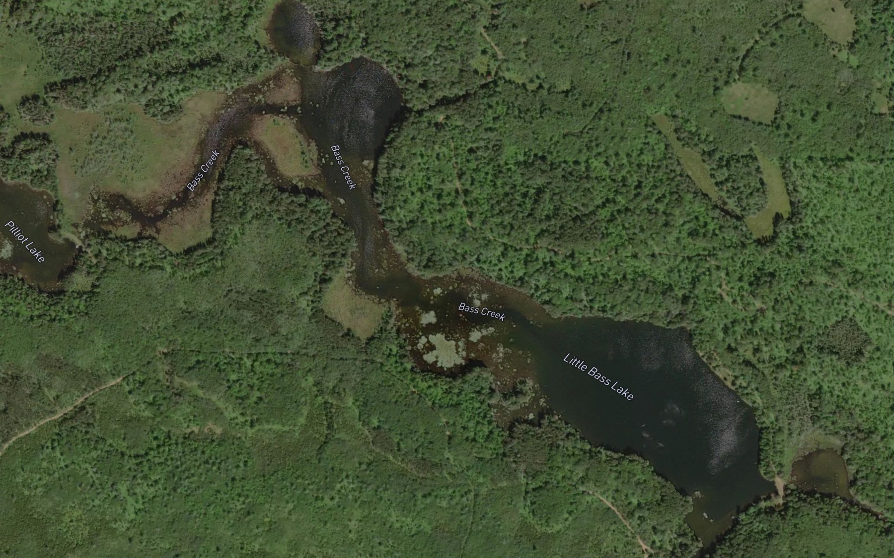 Satellite map of the Little Bass Lake