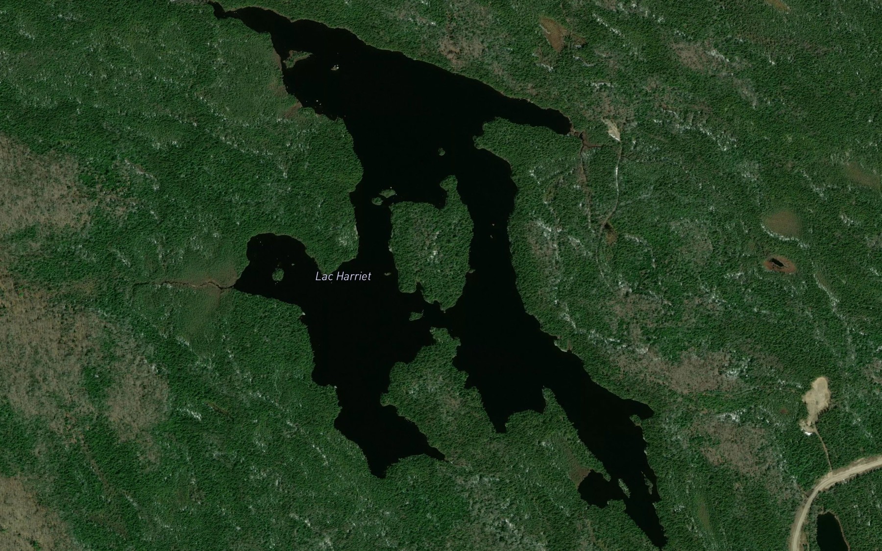 Satellite map of the Lac Harriet
