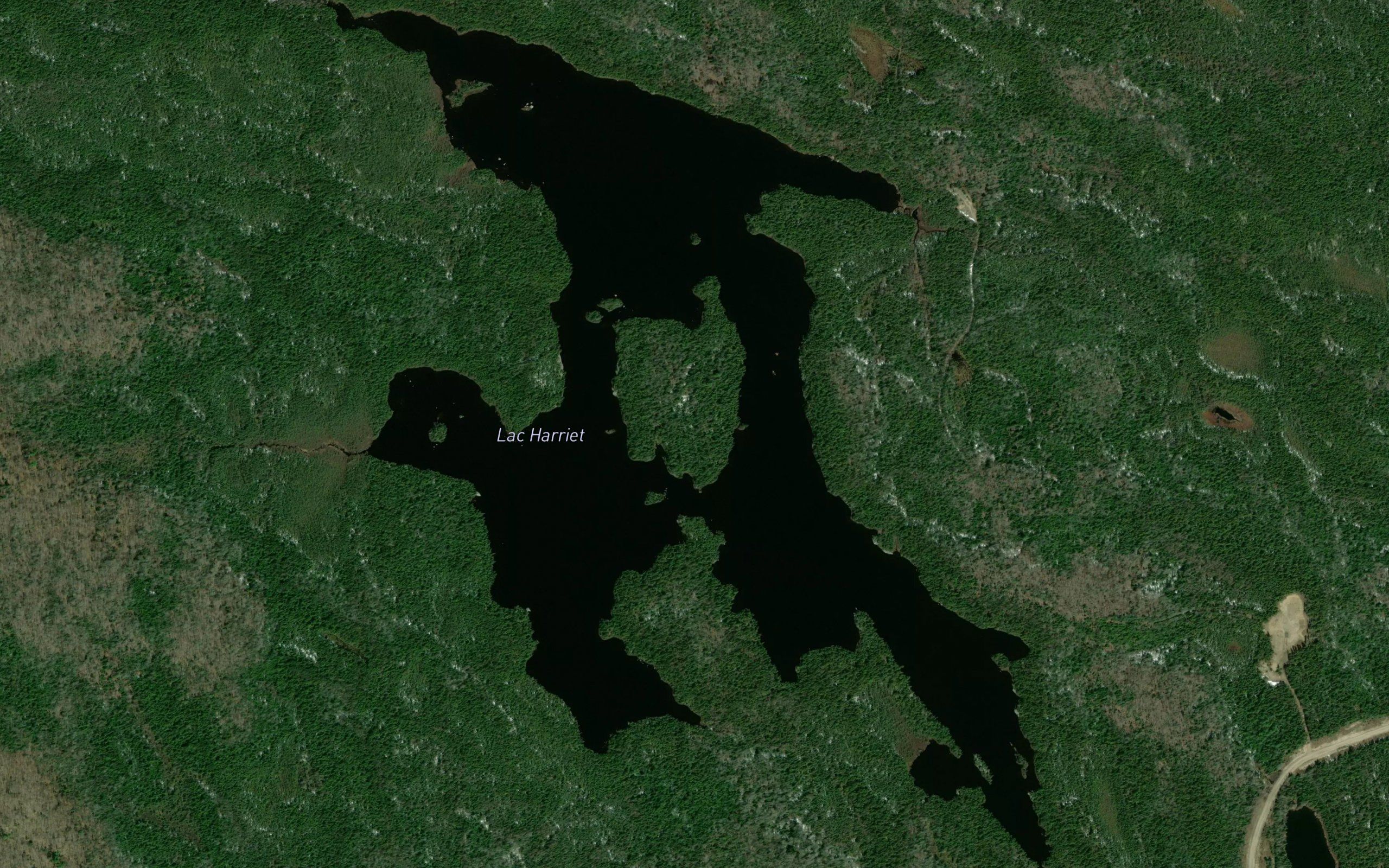 Lac Harriet
