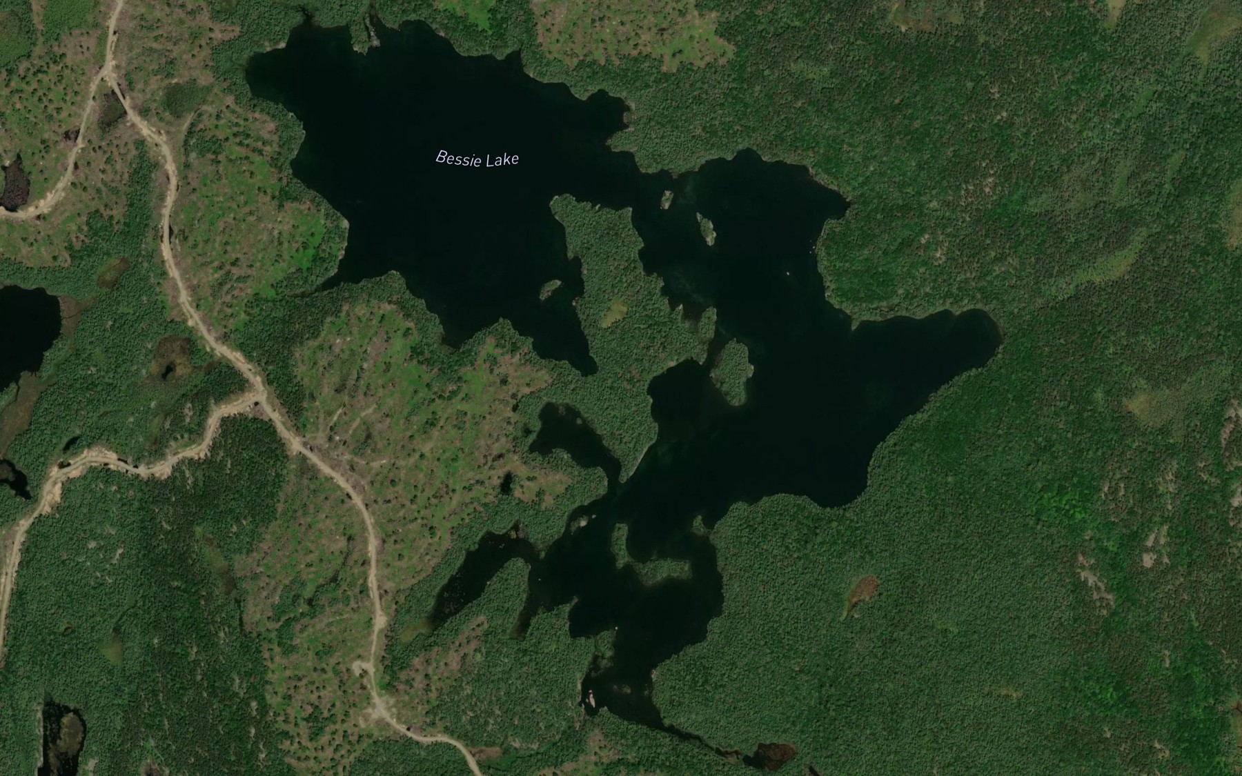 Satellite map of the Bessie Lake