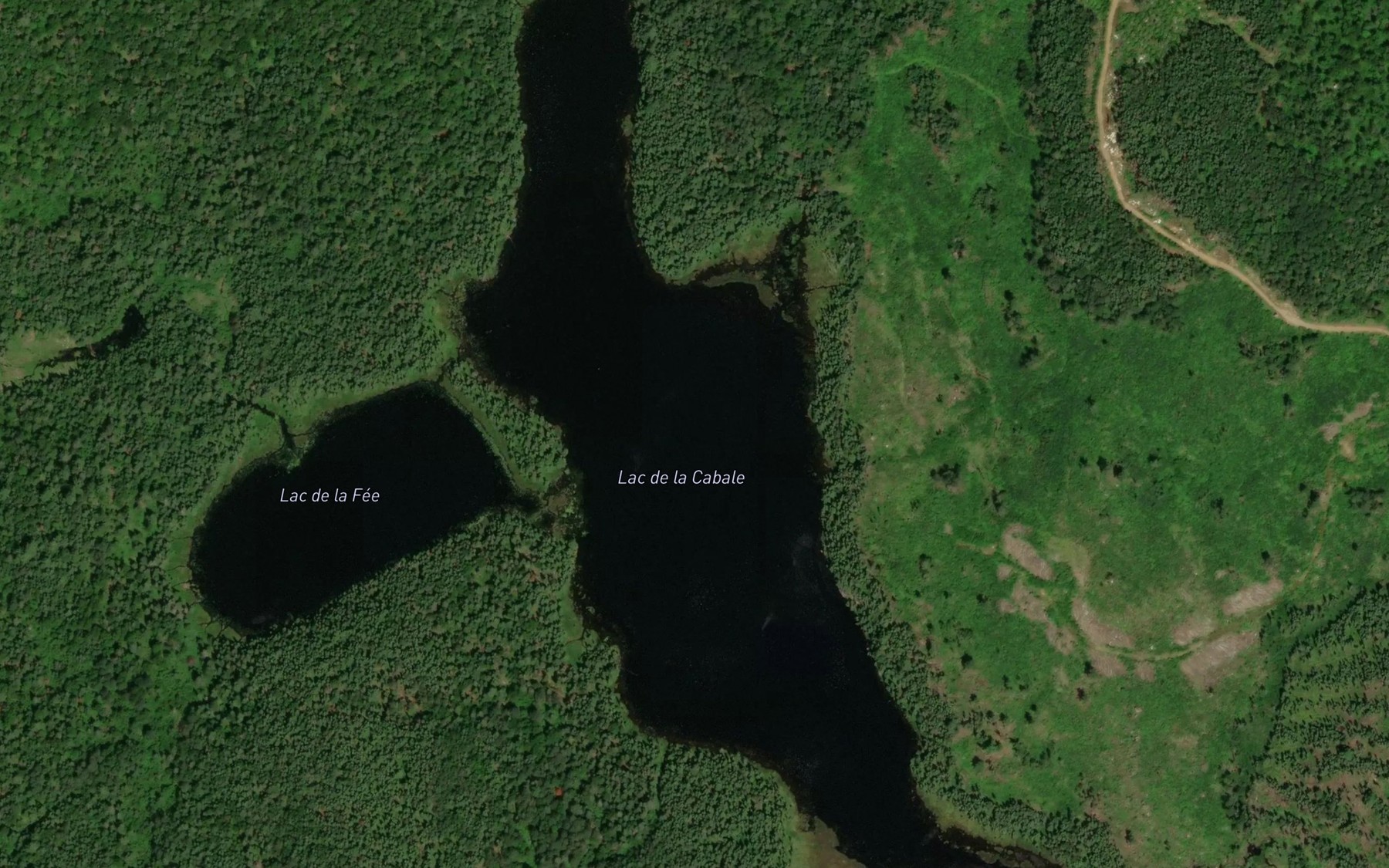 Satellite map of the Lac de la Cabale