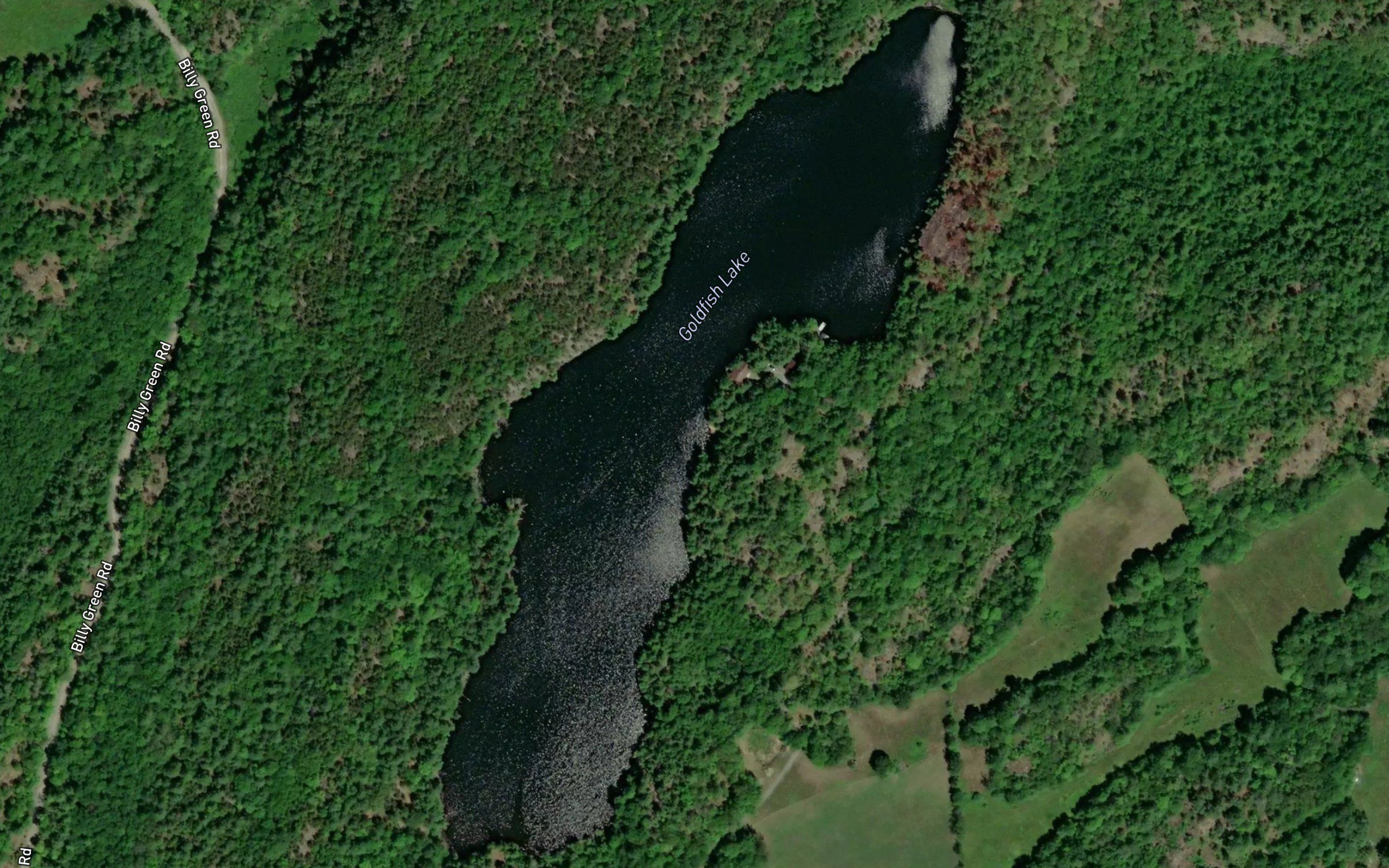 Goldfish Lake