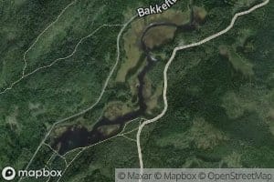 Bakkefloyta