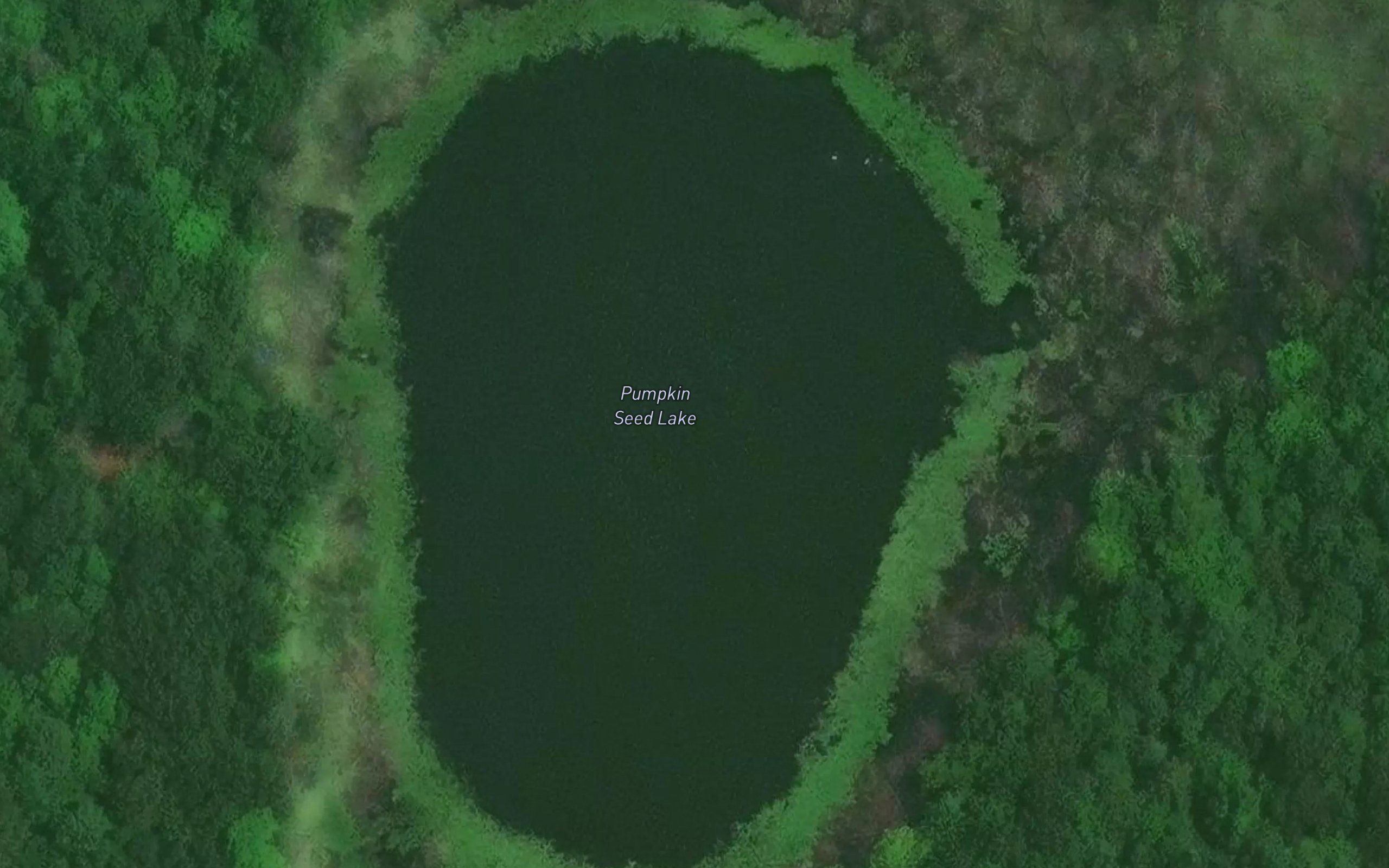 Pumpkin Seed Lake