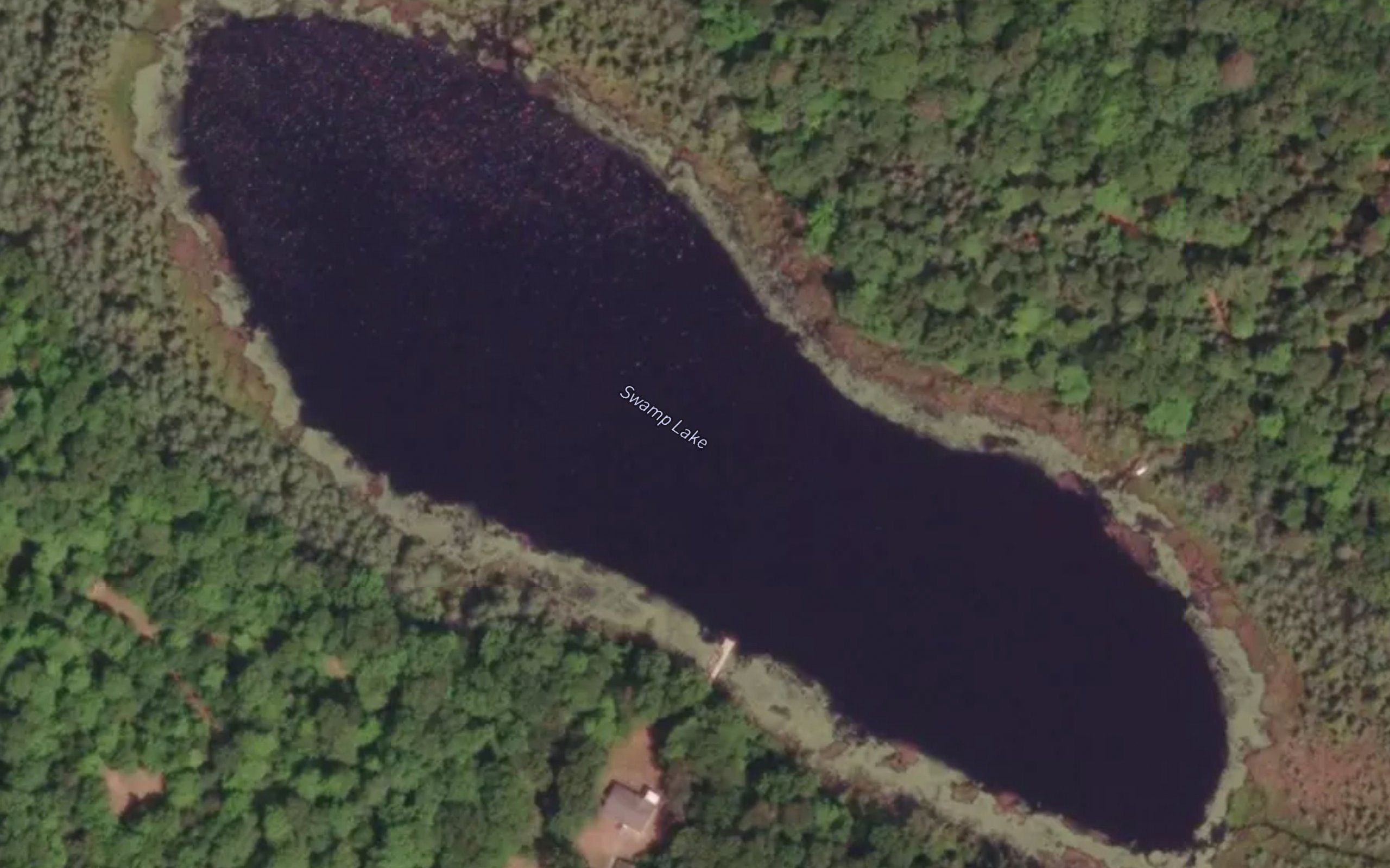 Swamp Lake