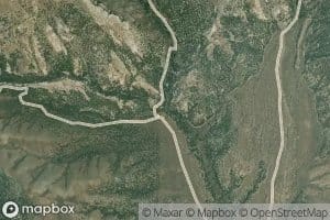 Cucchi Fork