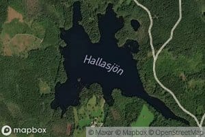 Hallasjoen