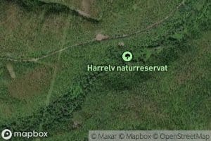 Harrejohgorzi