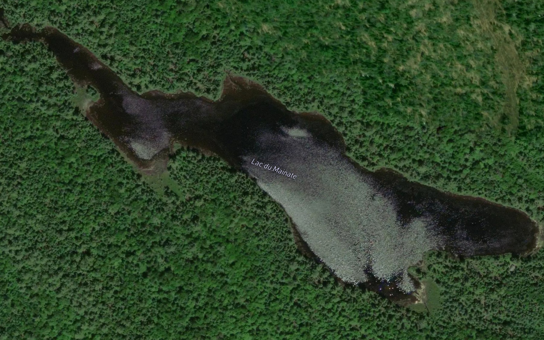 Satellite map of the Lac du Mainate