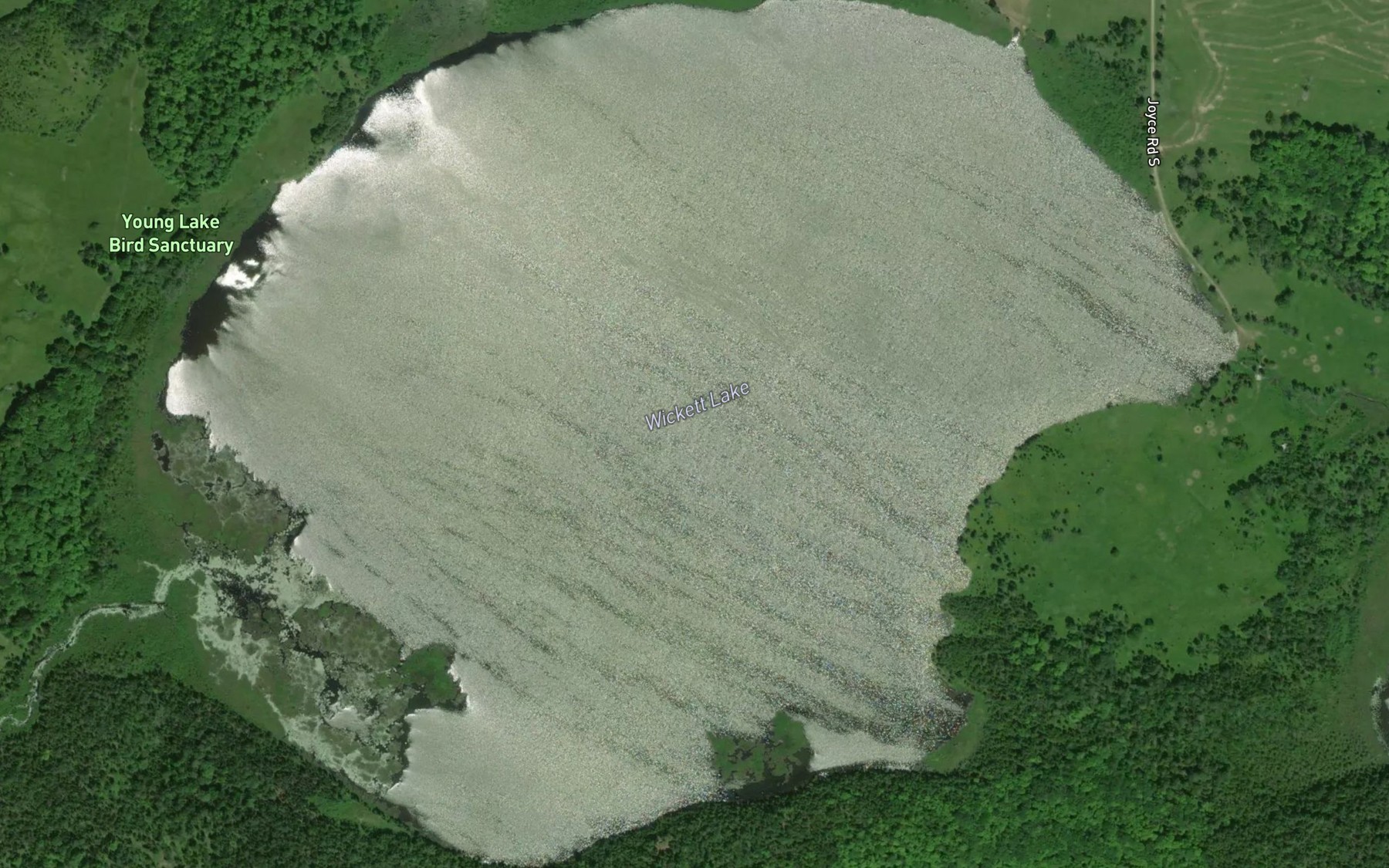 Satellite map of the Wickett Lake