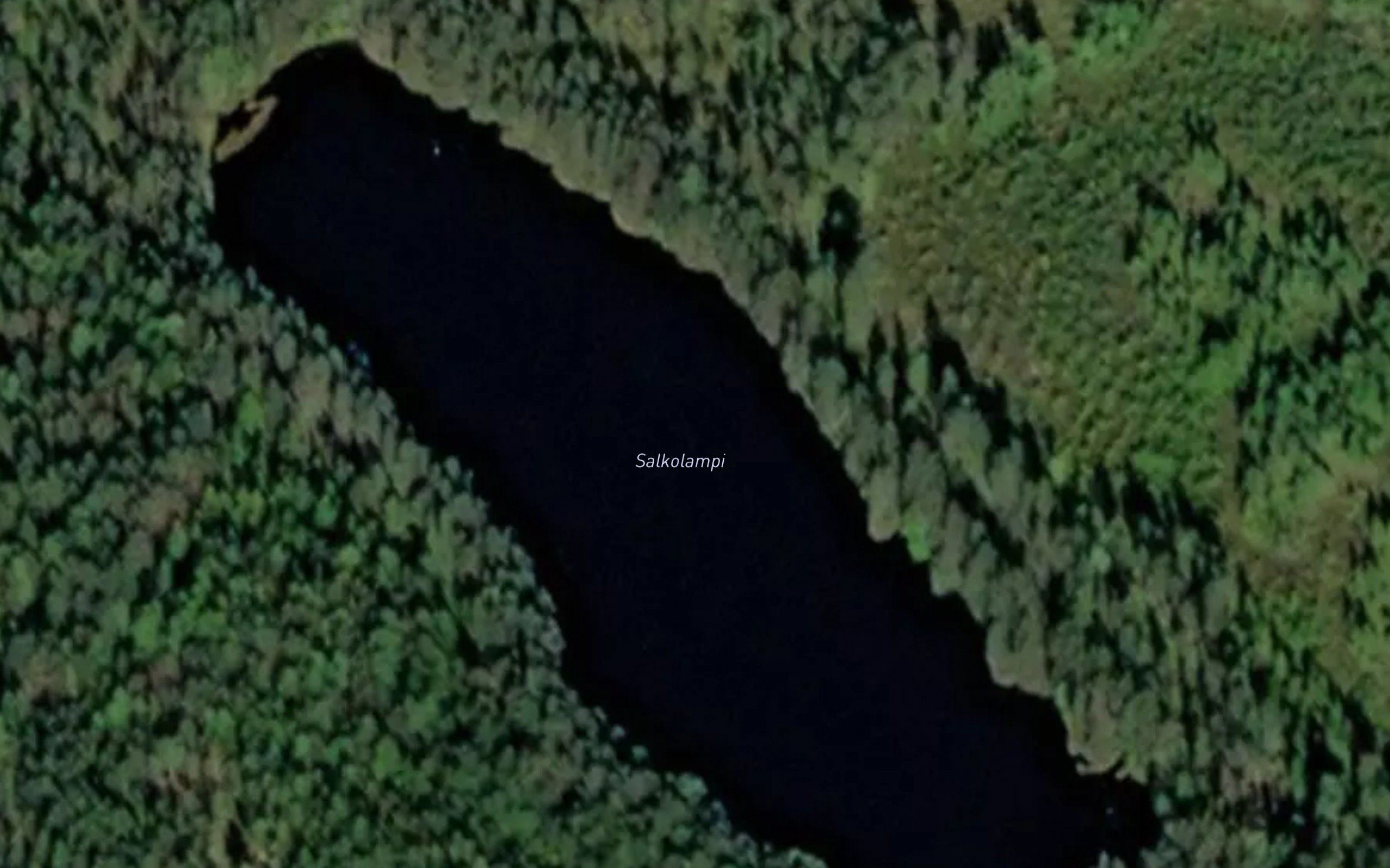 Salkolampi