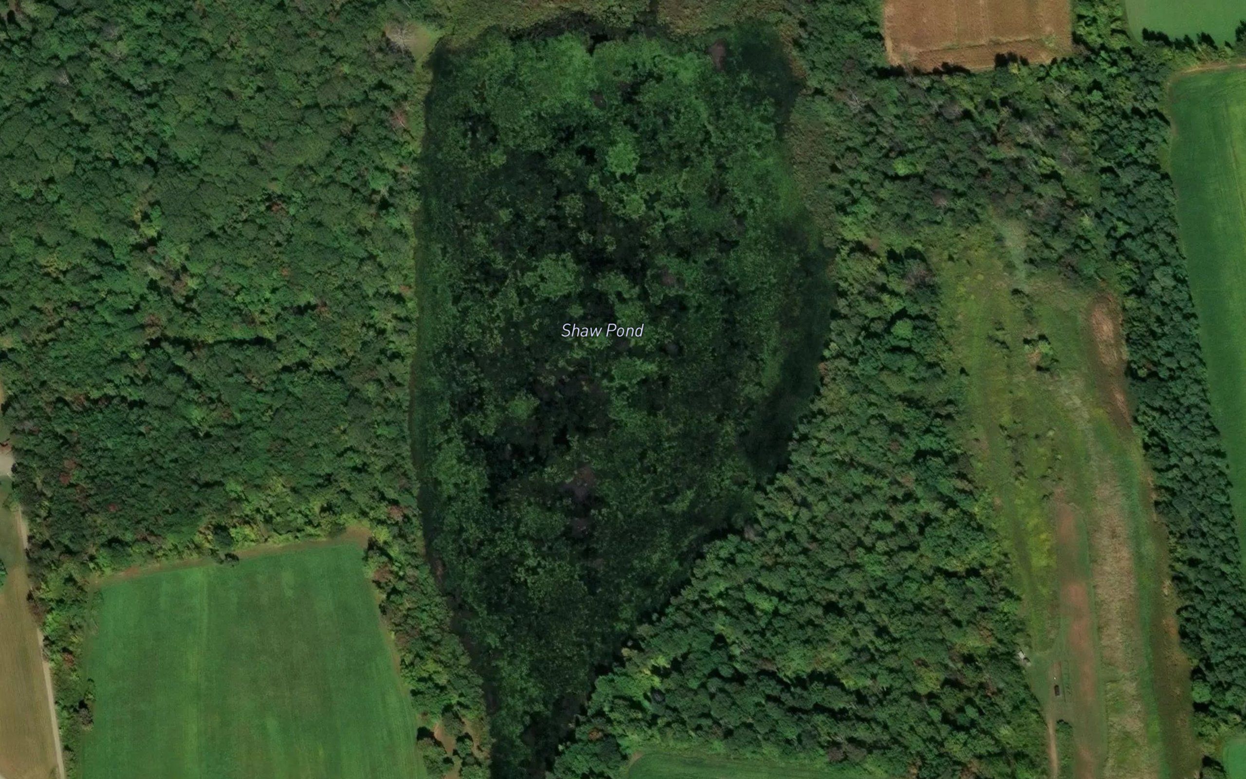 Shaw Pond