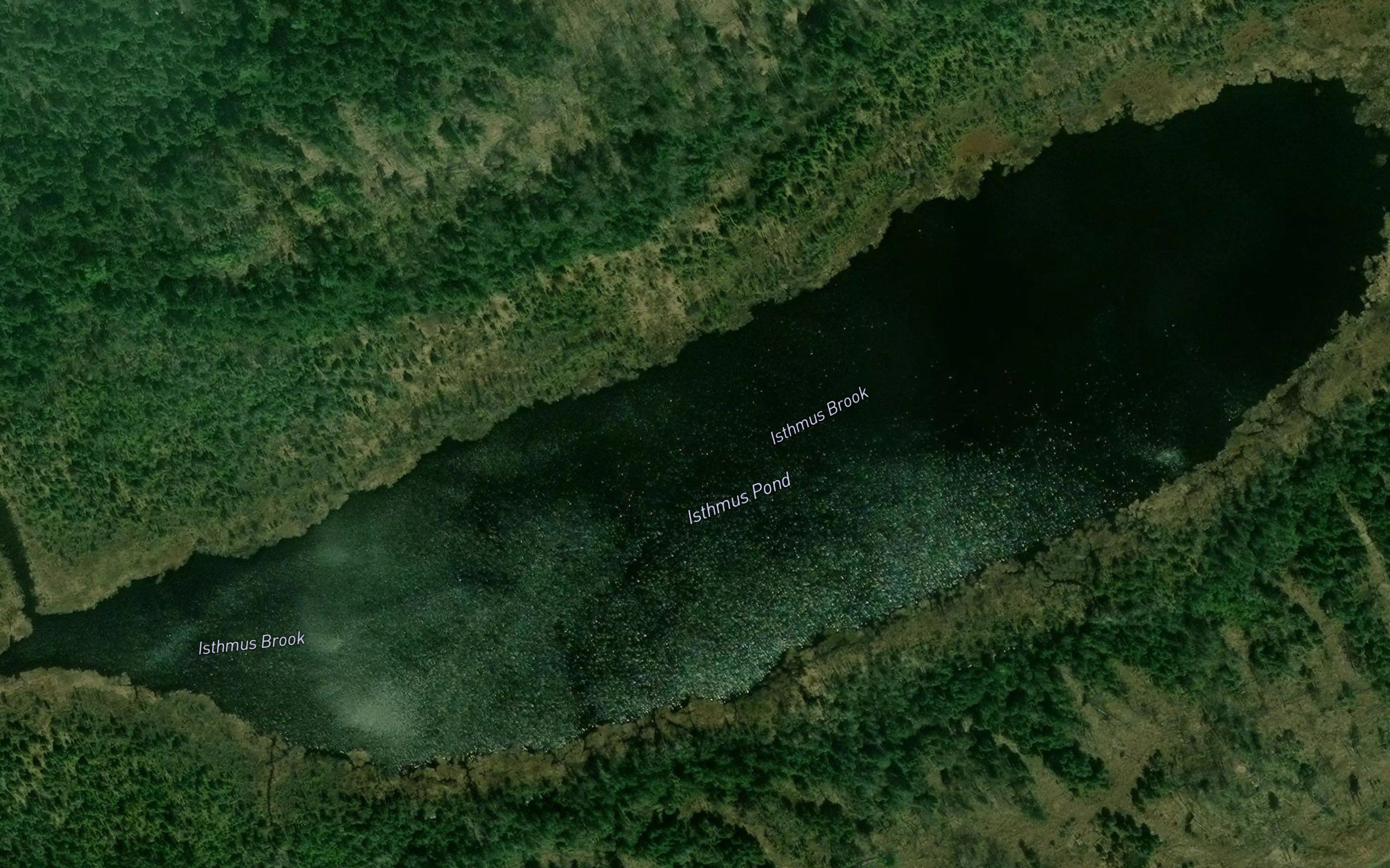 Isthmus Pond