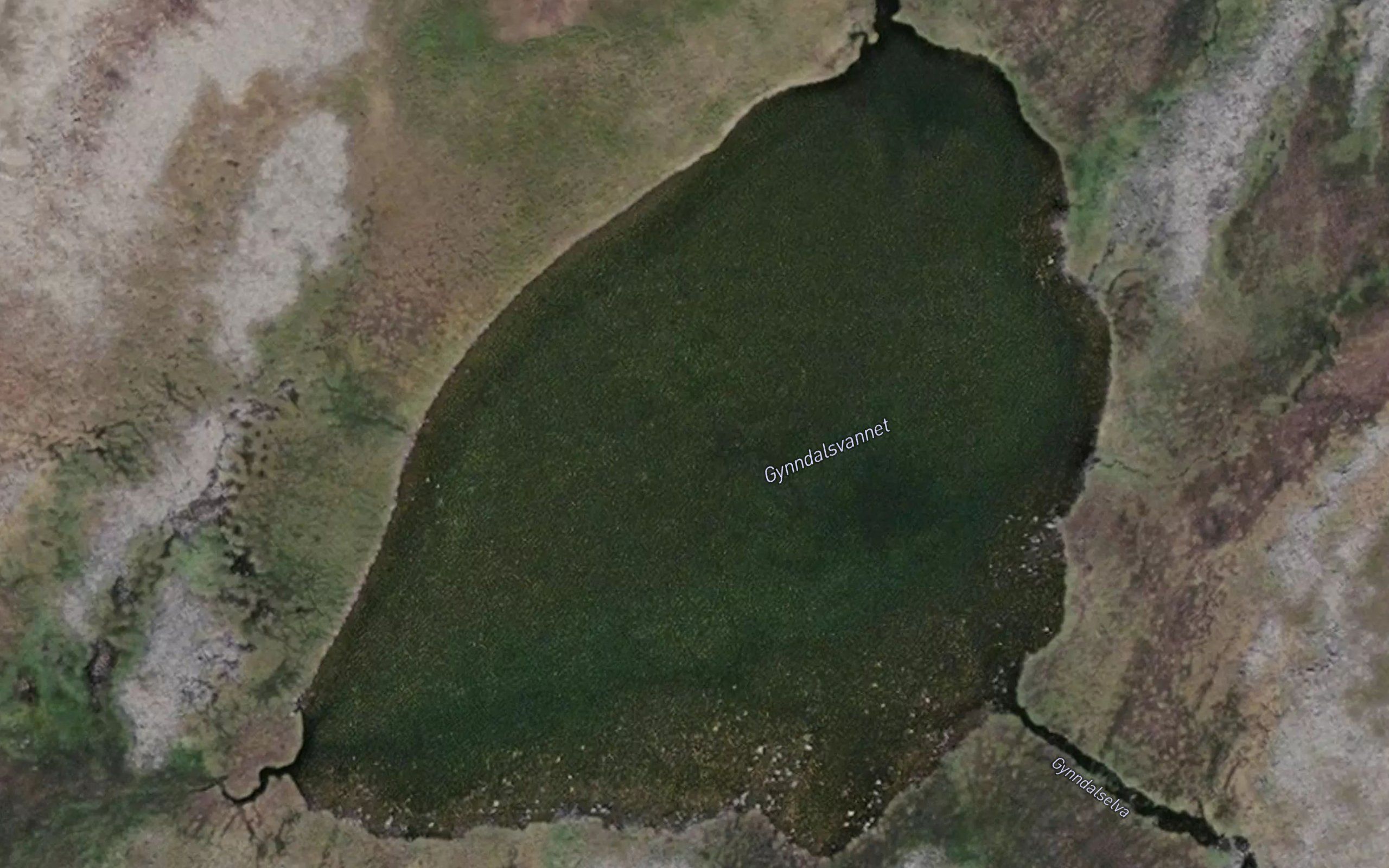 Gynndalsvatnet