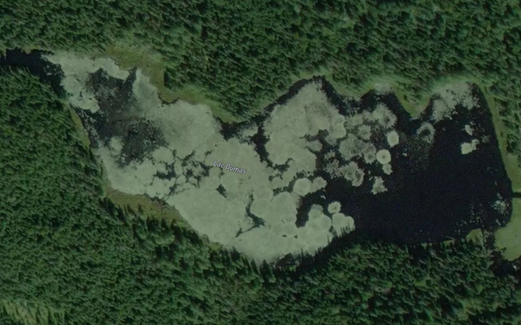 Satellite map of the Lac Dumas