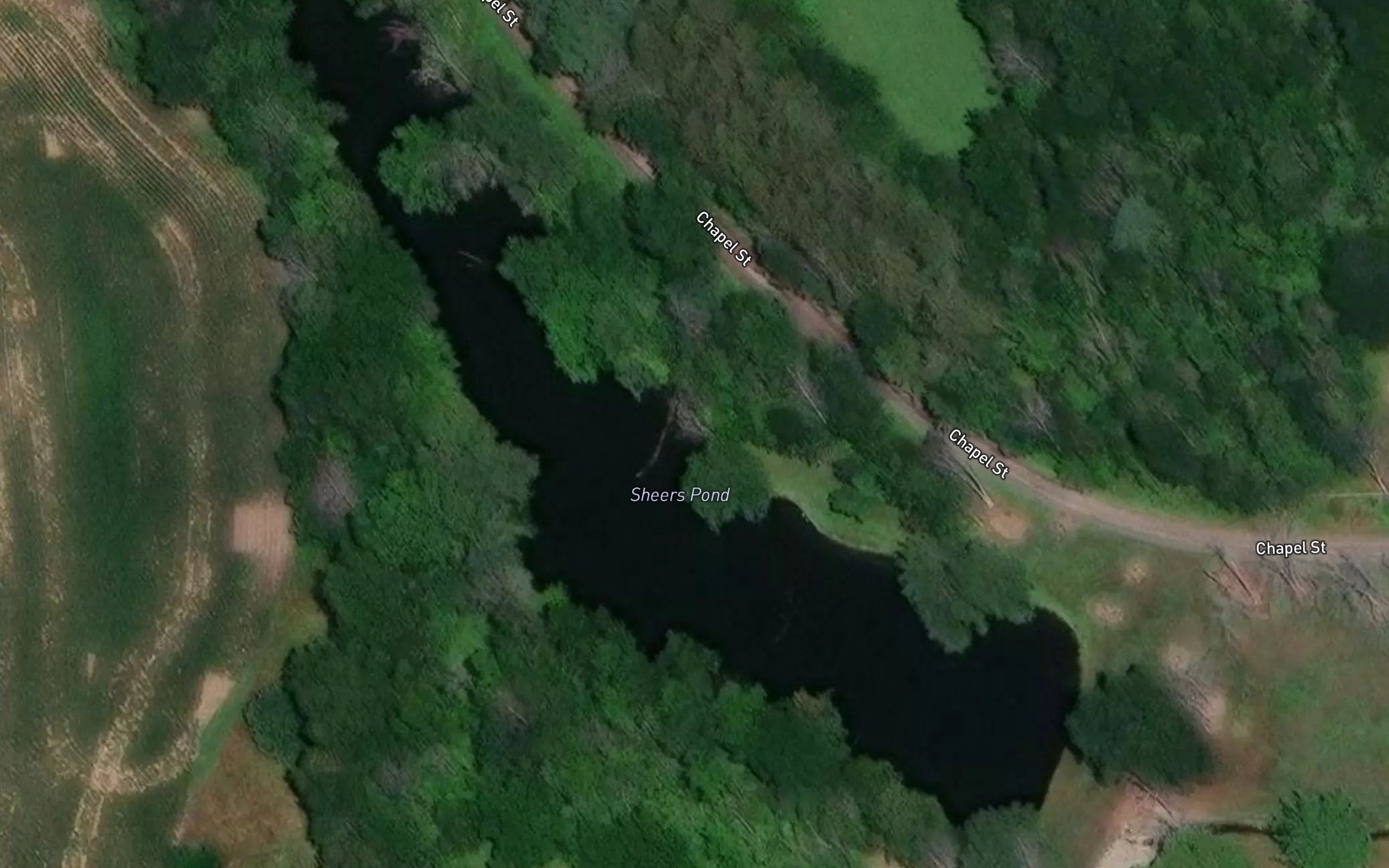Sheers Pond