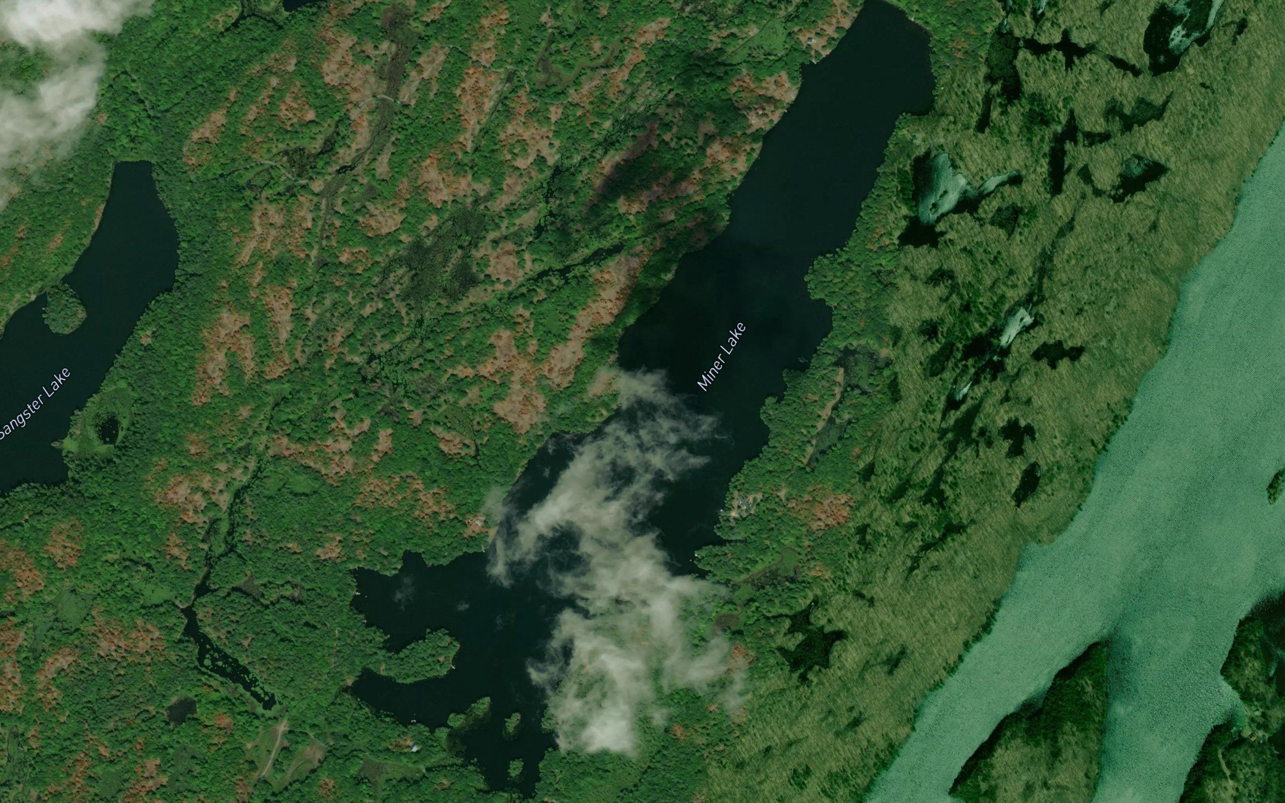 Miner Lake