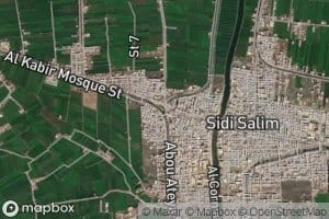 Jannabiyat Sidi Salim al Gharbiyah