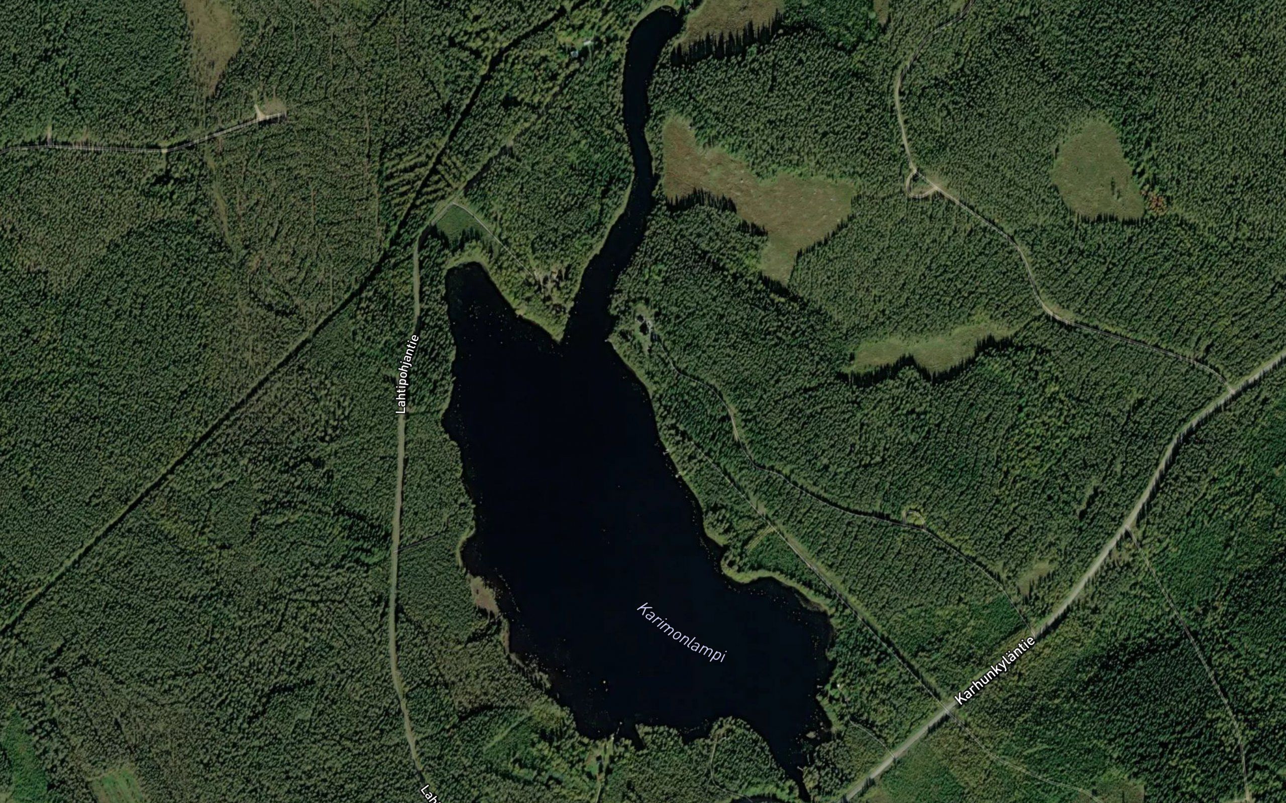 Karimonlampi