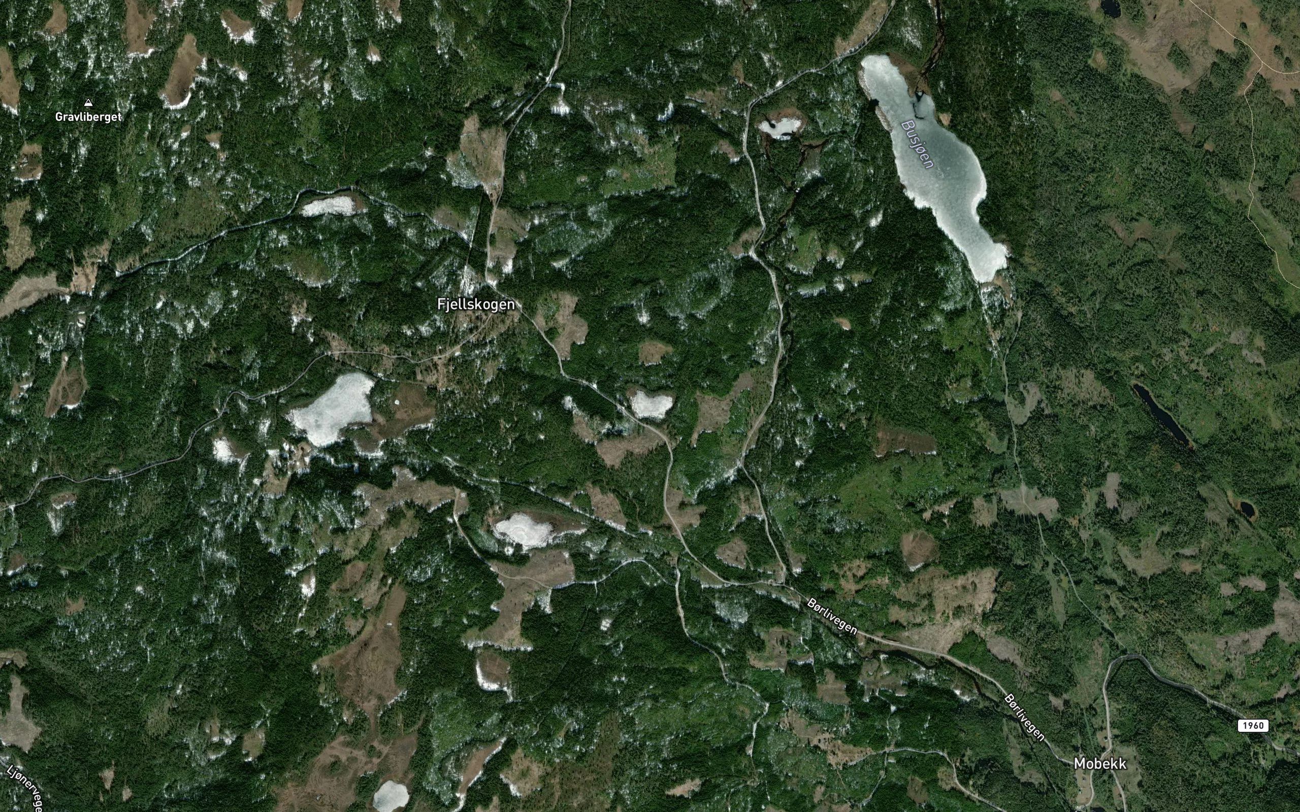 Kverntjern
