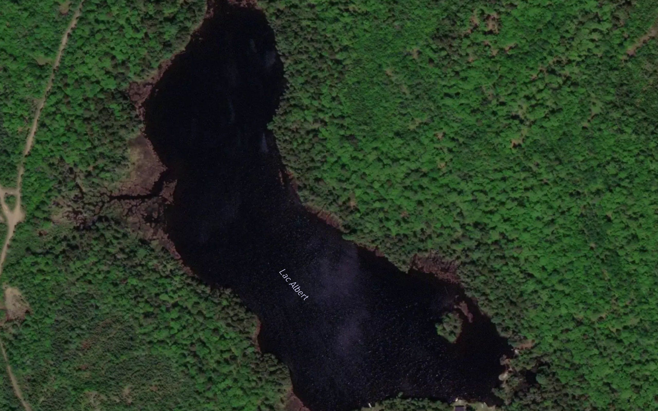 Lac Albert