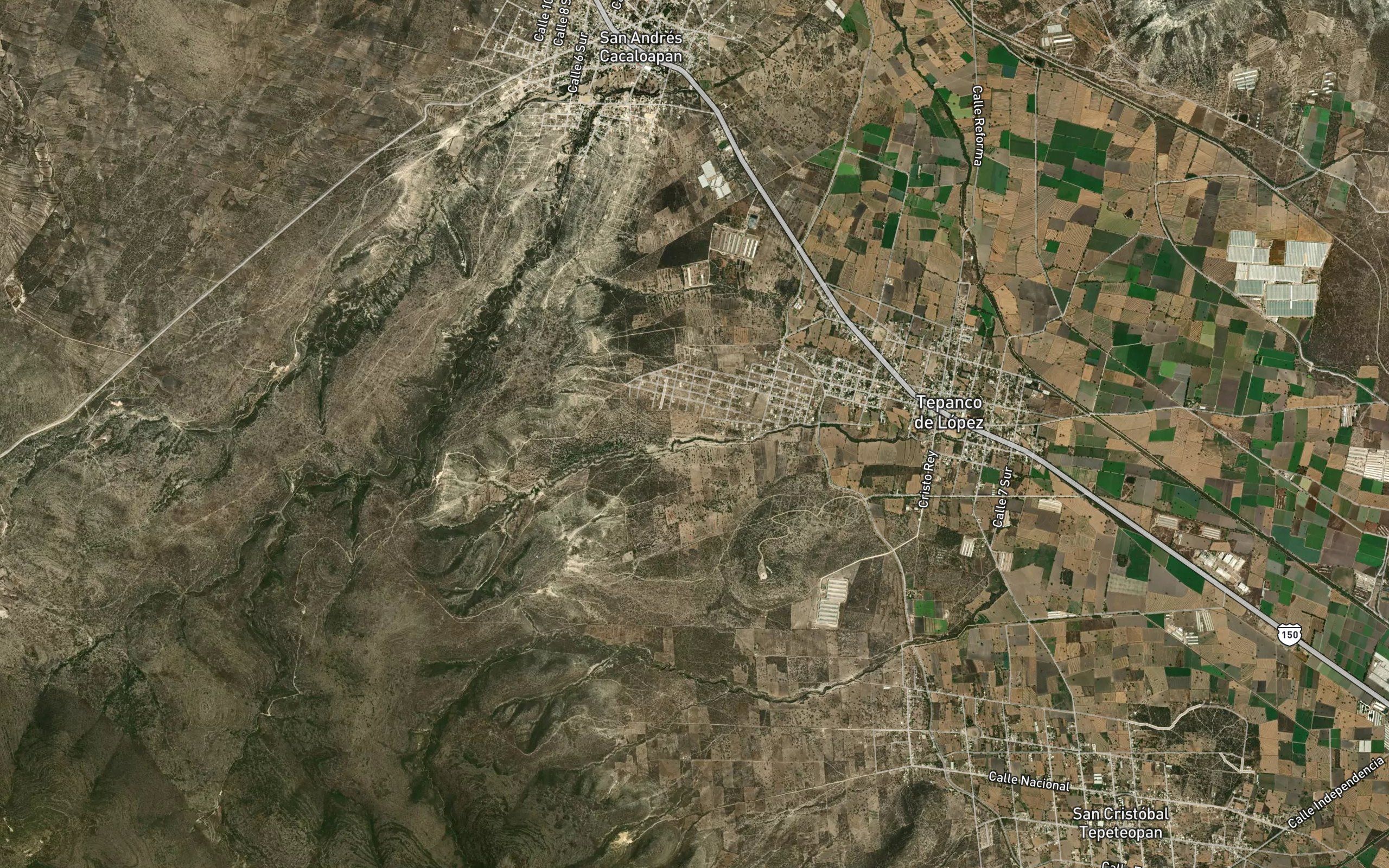 El Zopilote