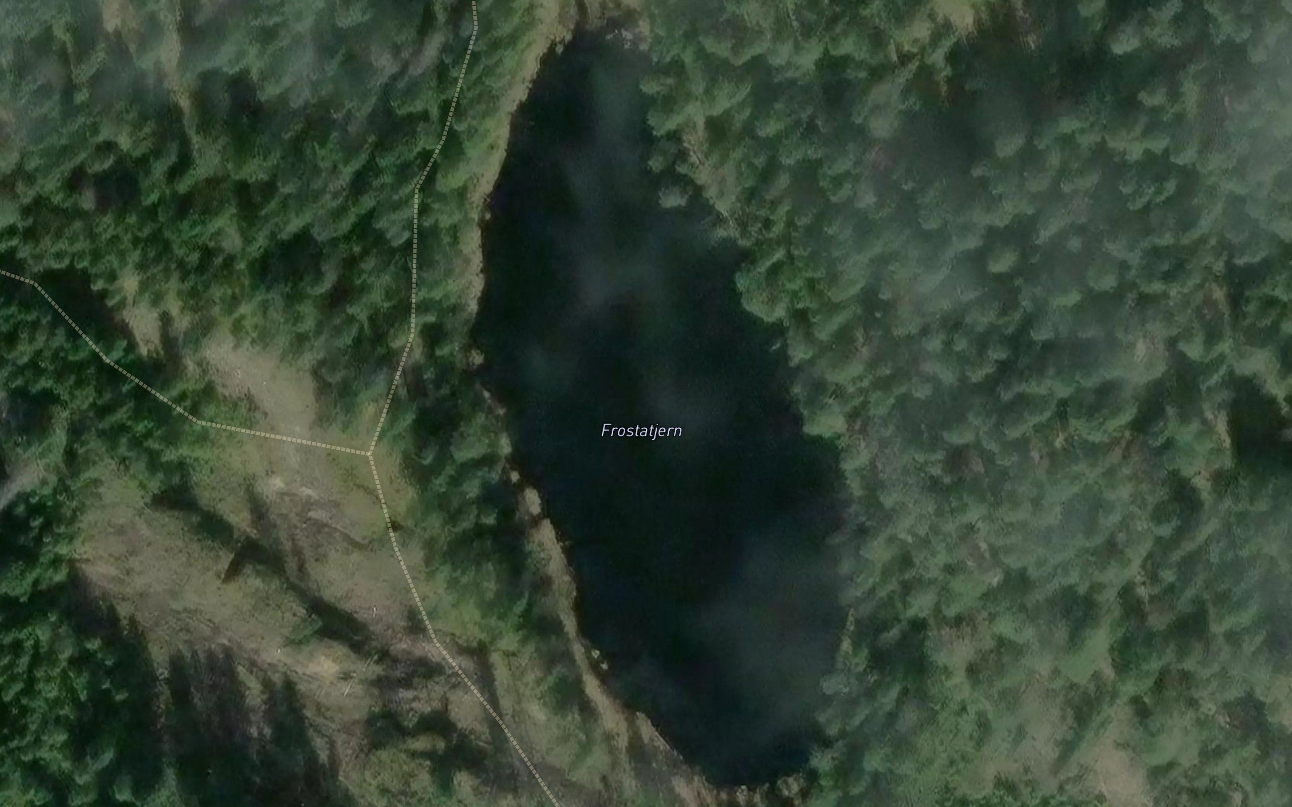 Frostatjern