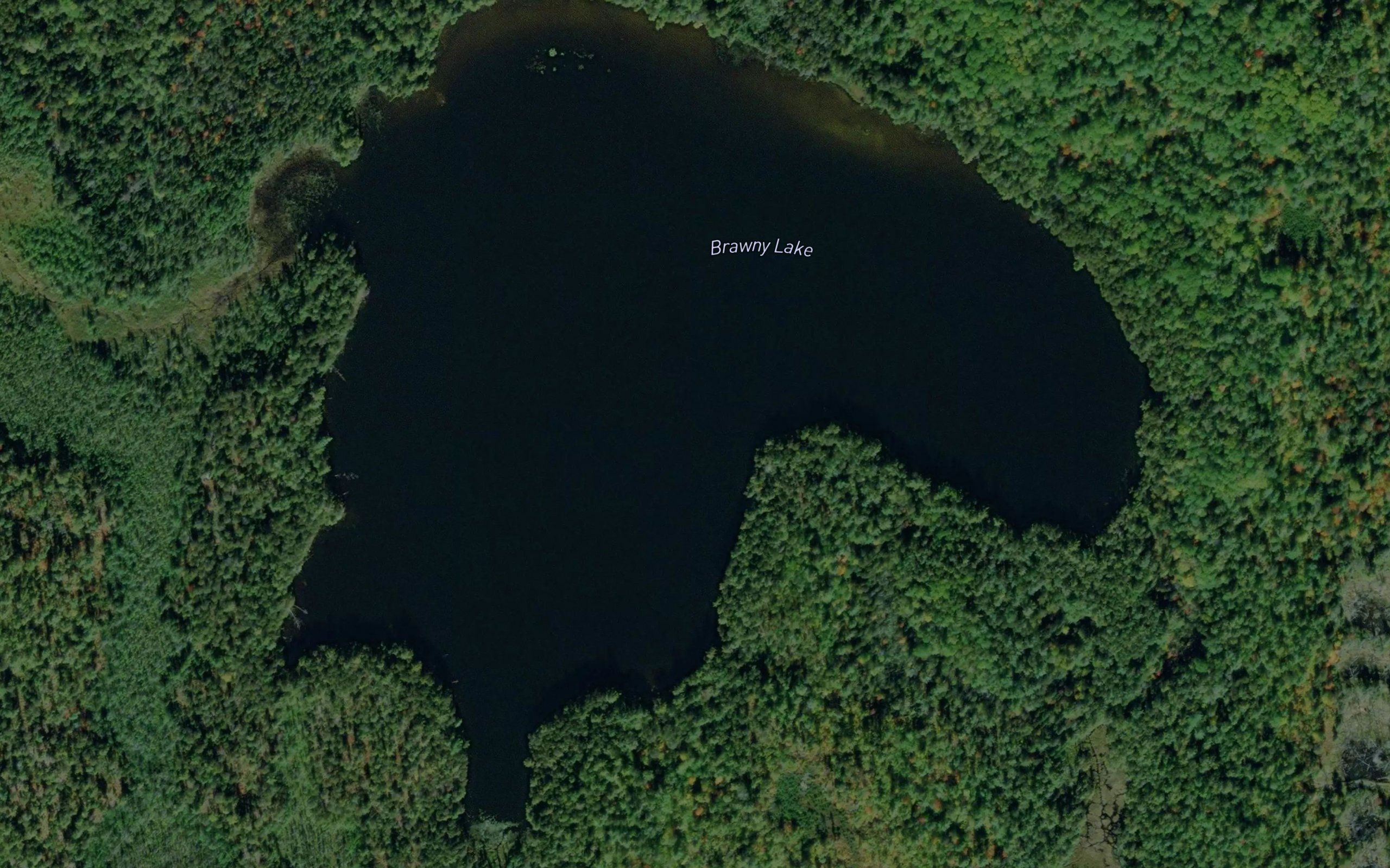 Brawny Lake