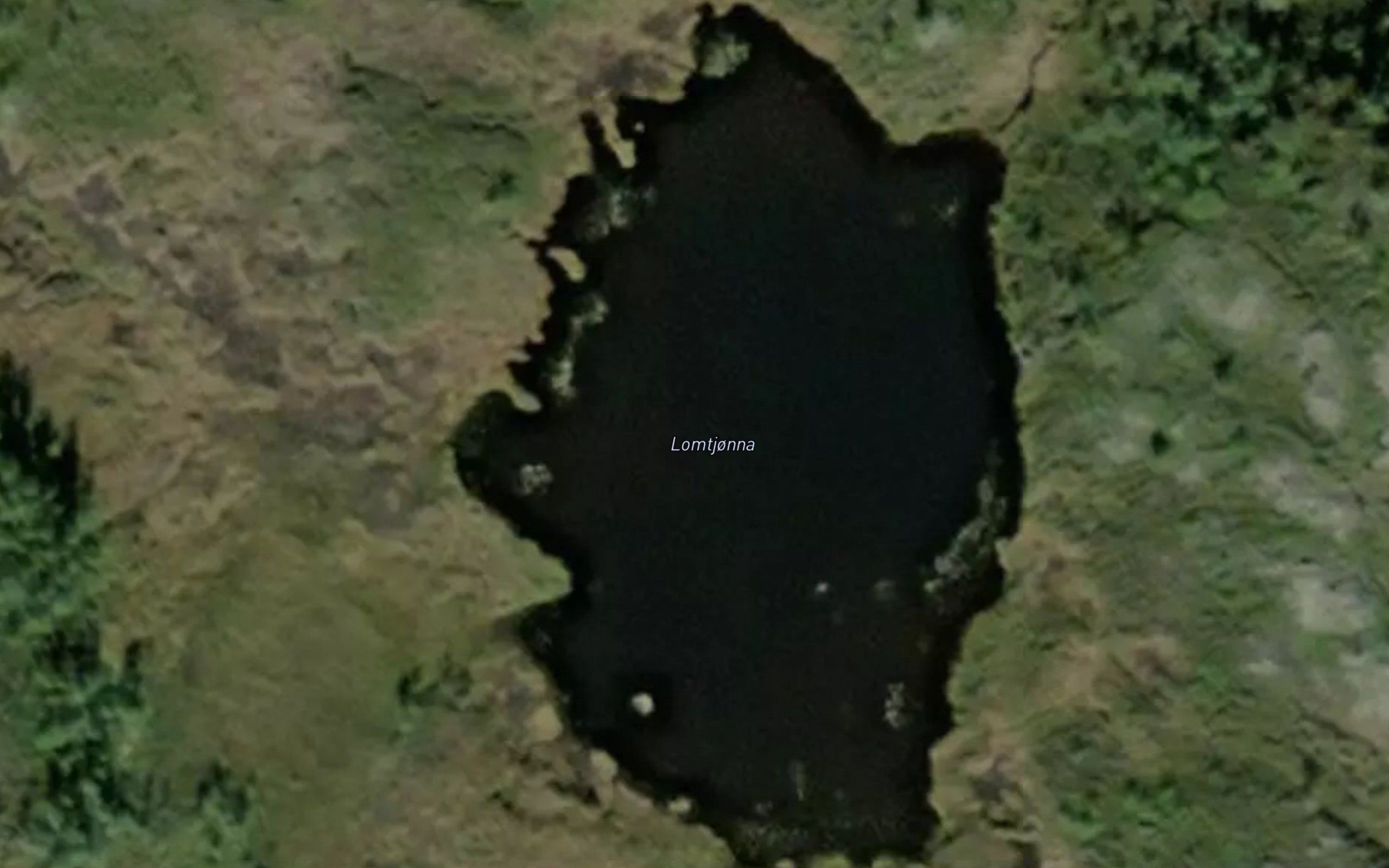Lomtjorna
