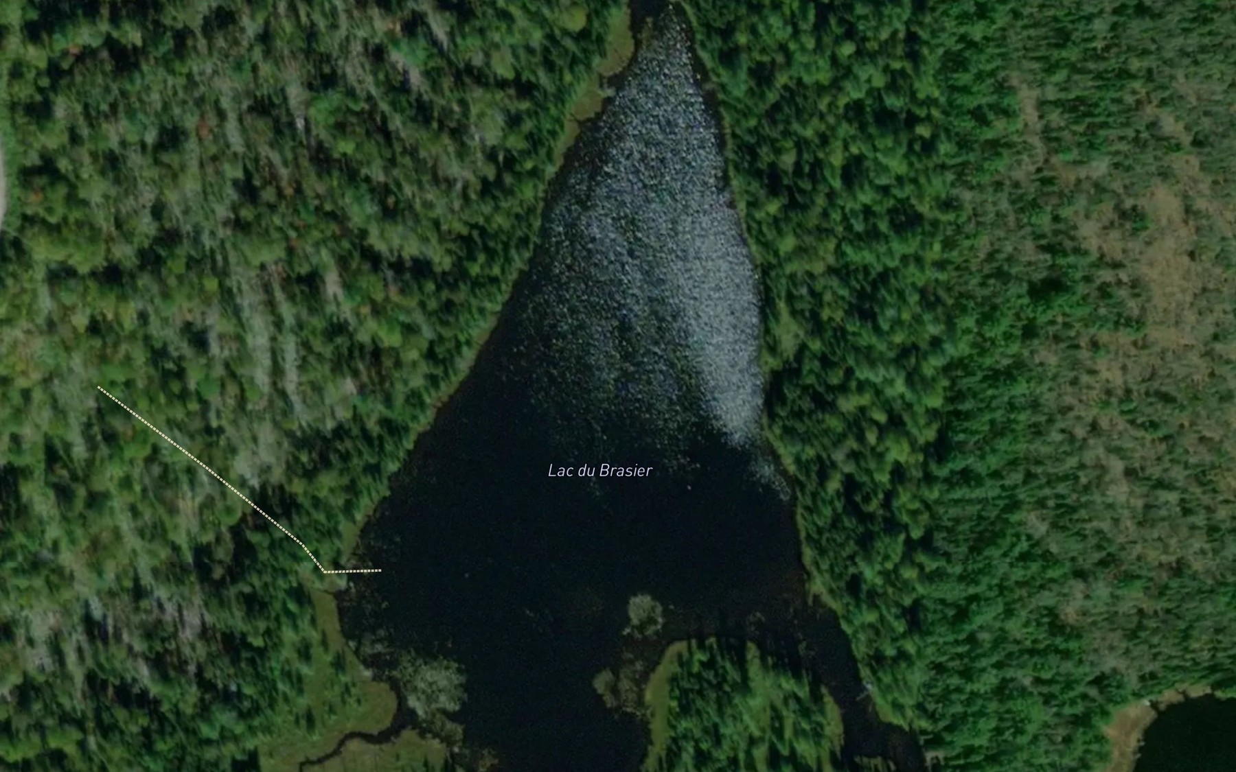 Satellite map of the Lac du Brasier