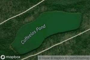 Coffeelos Pond