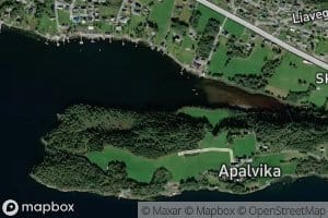 Batvika