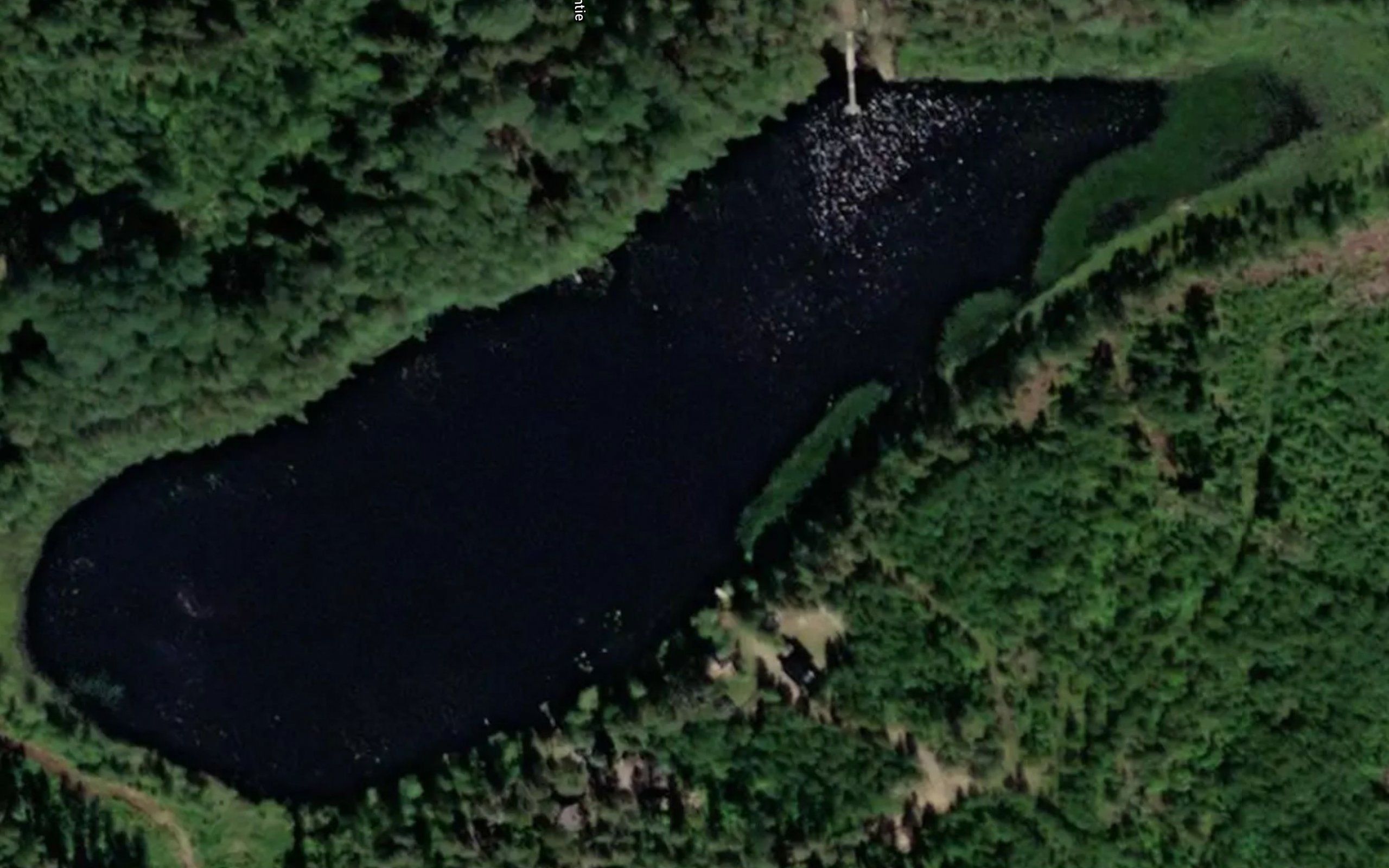 Virojarvi