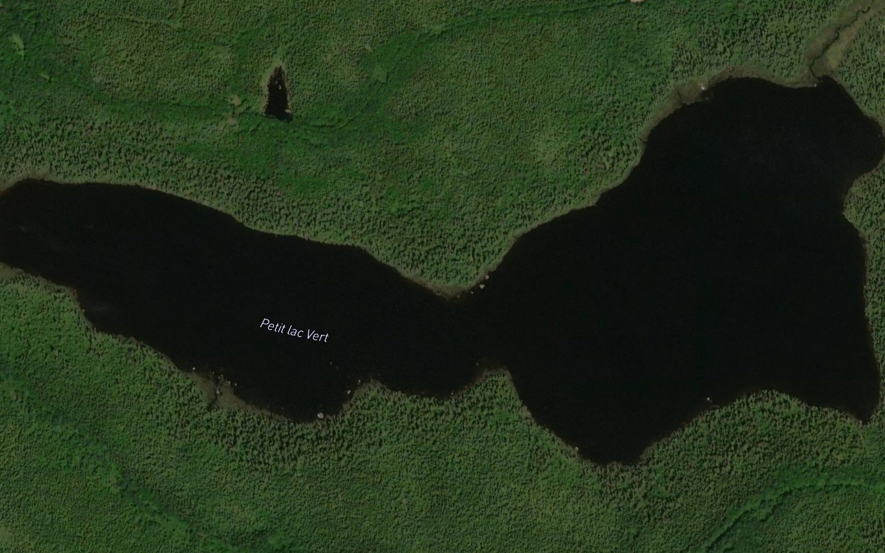 Satellite map of the Petit lac Vert