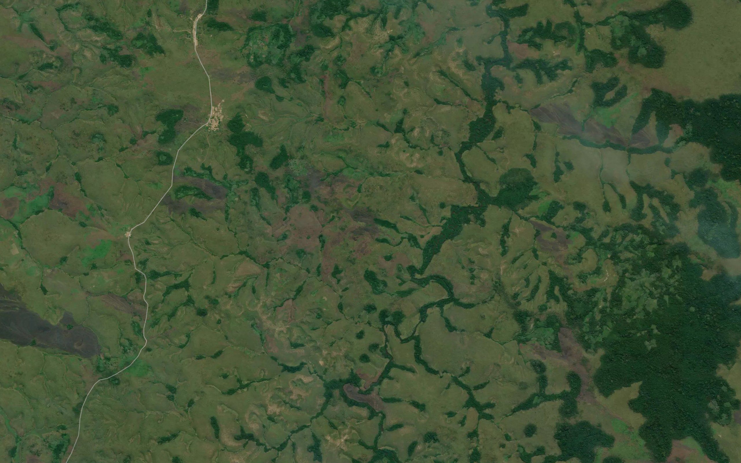 Vunga