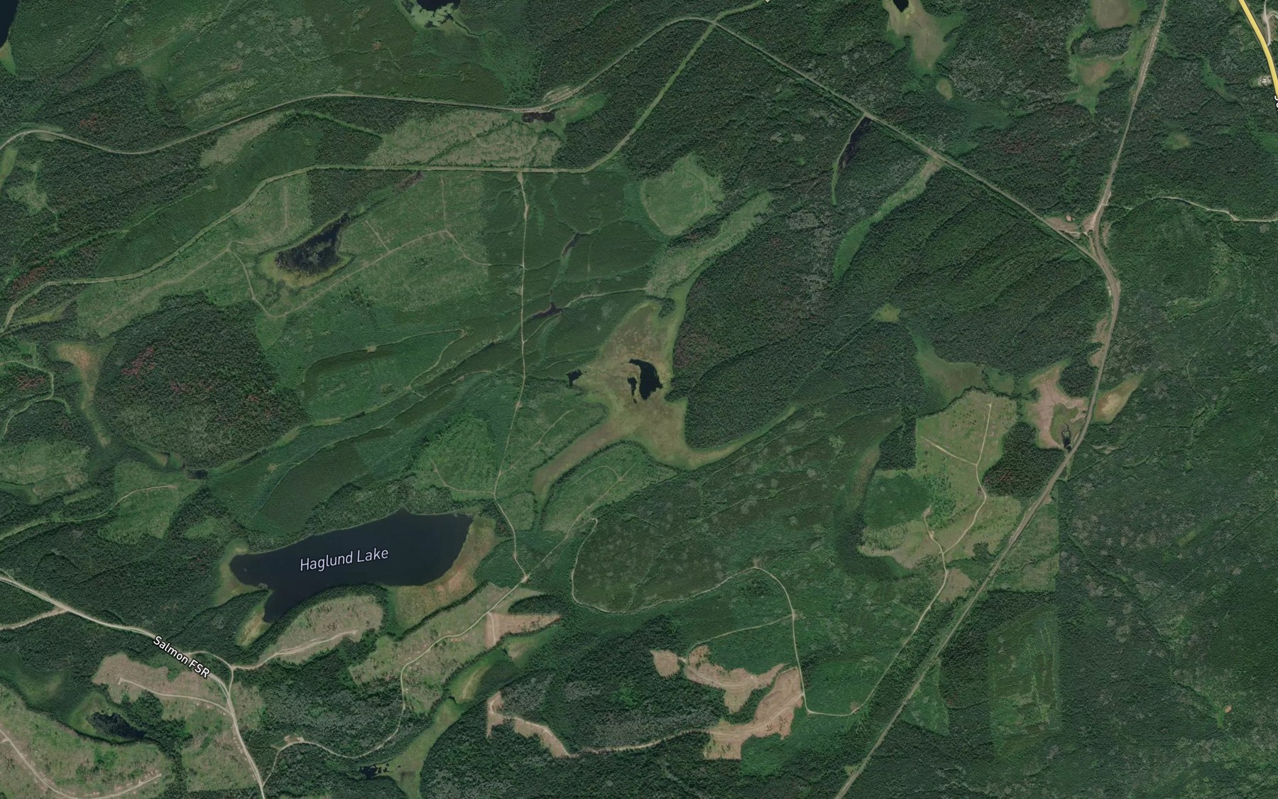 Satellite map of the The Horse Pond