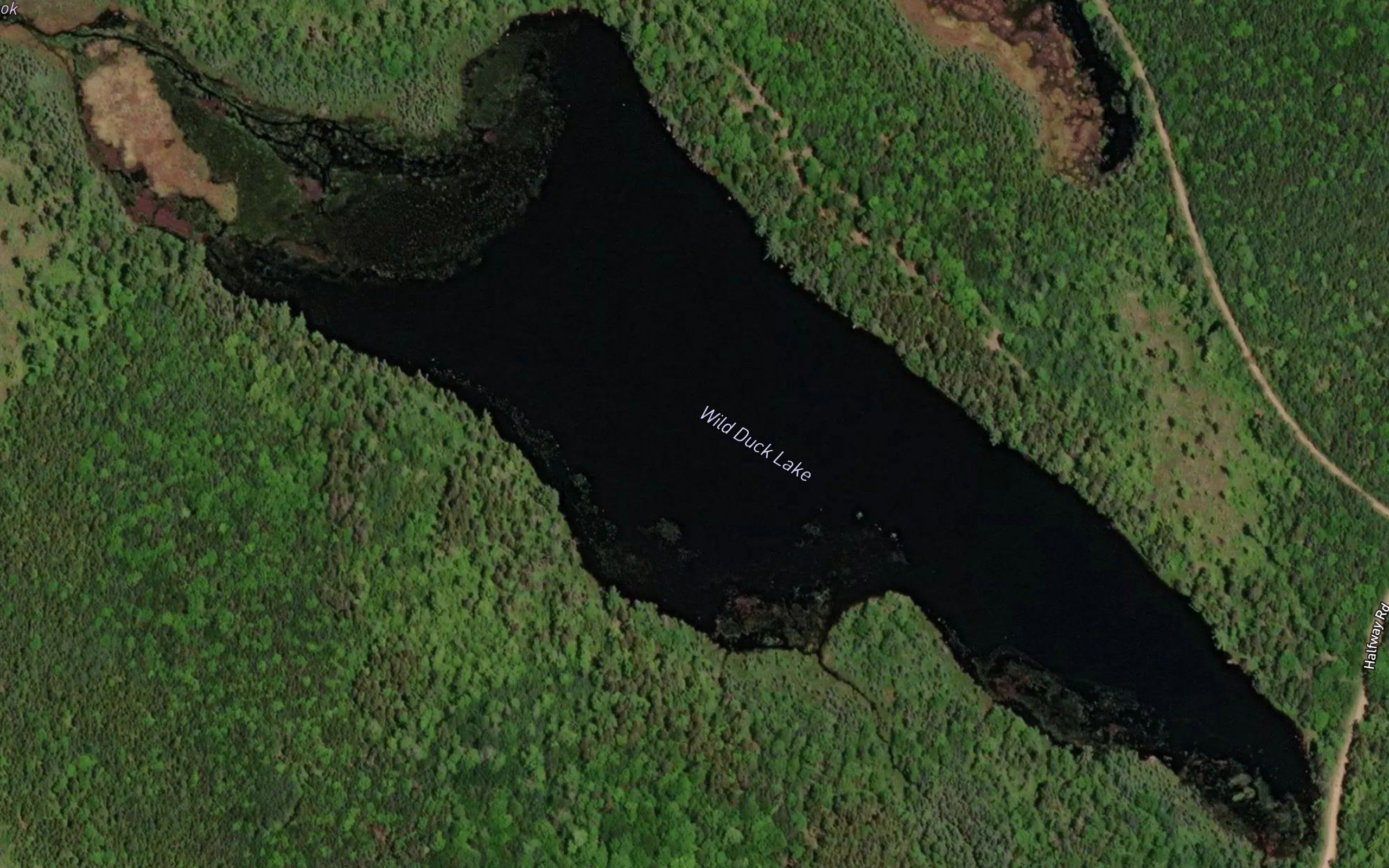 Wild Duck Lake