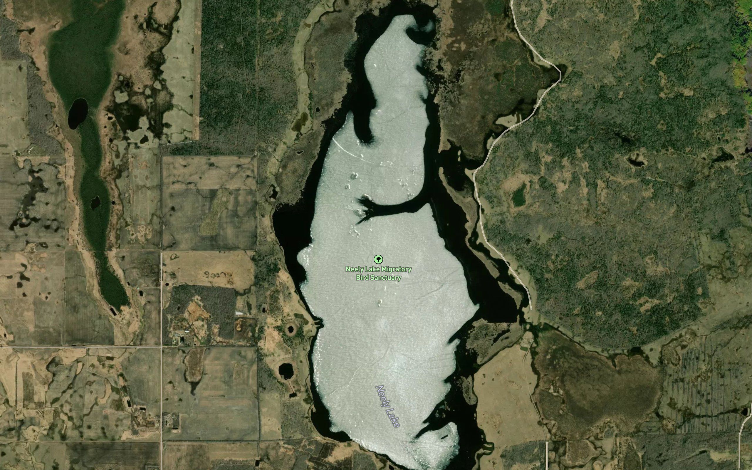 Neely Lake