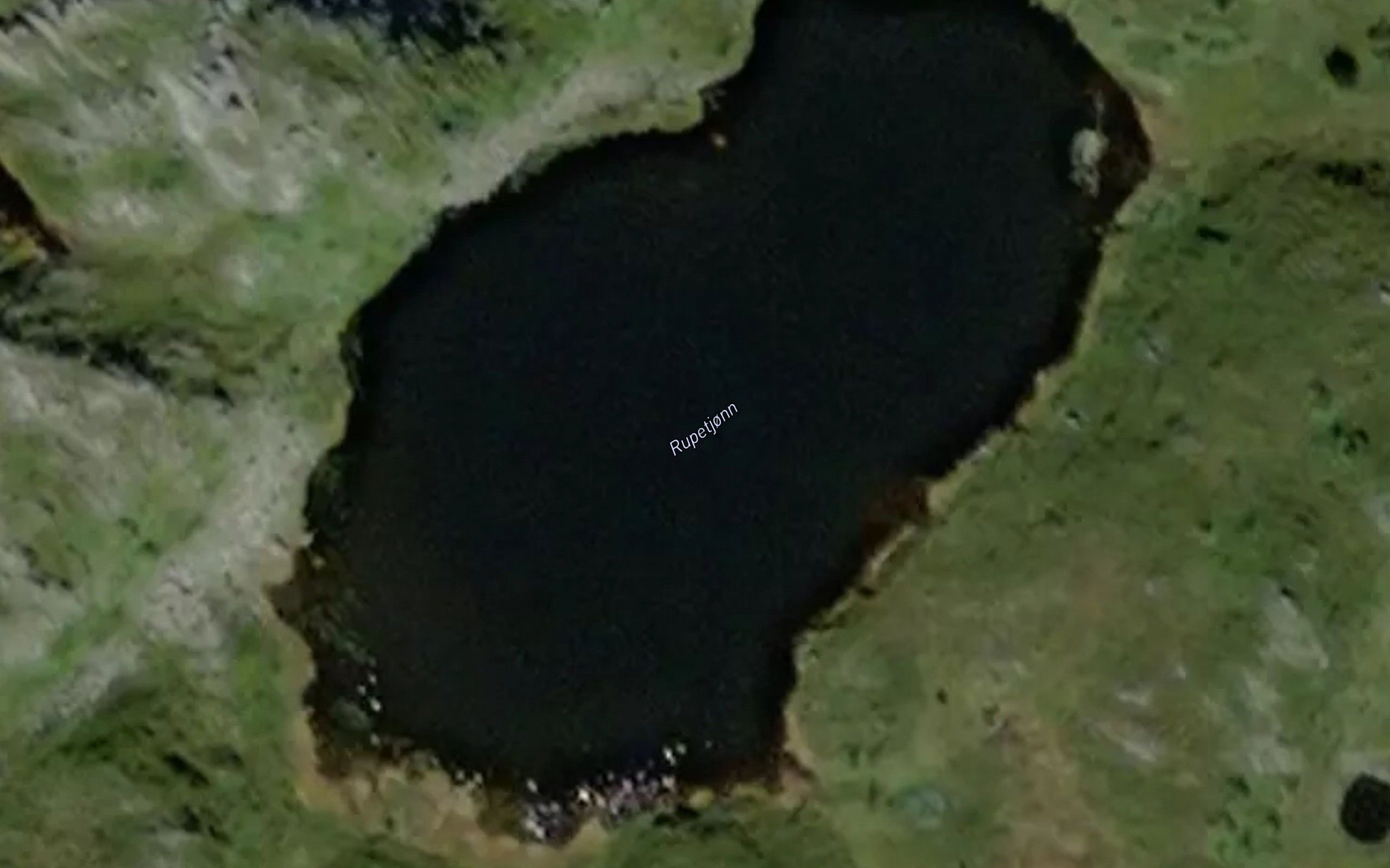 Rupetjonn