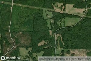 Old Stand Spring Branch