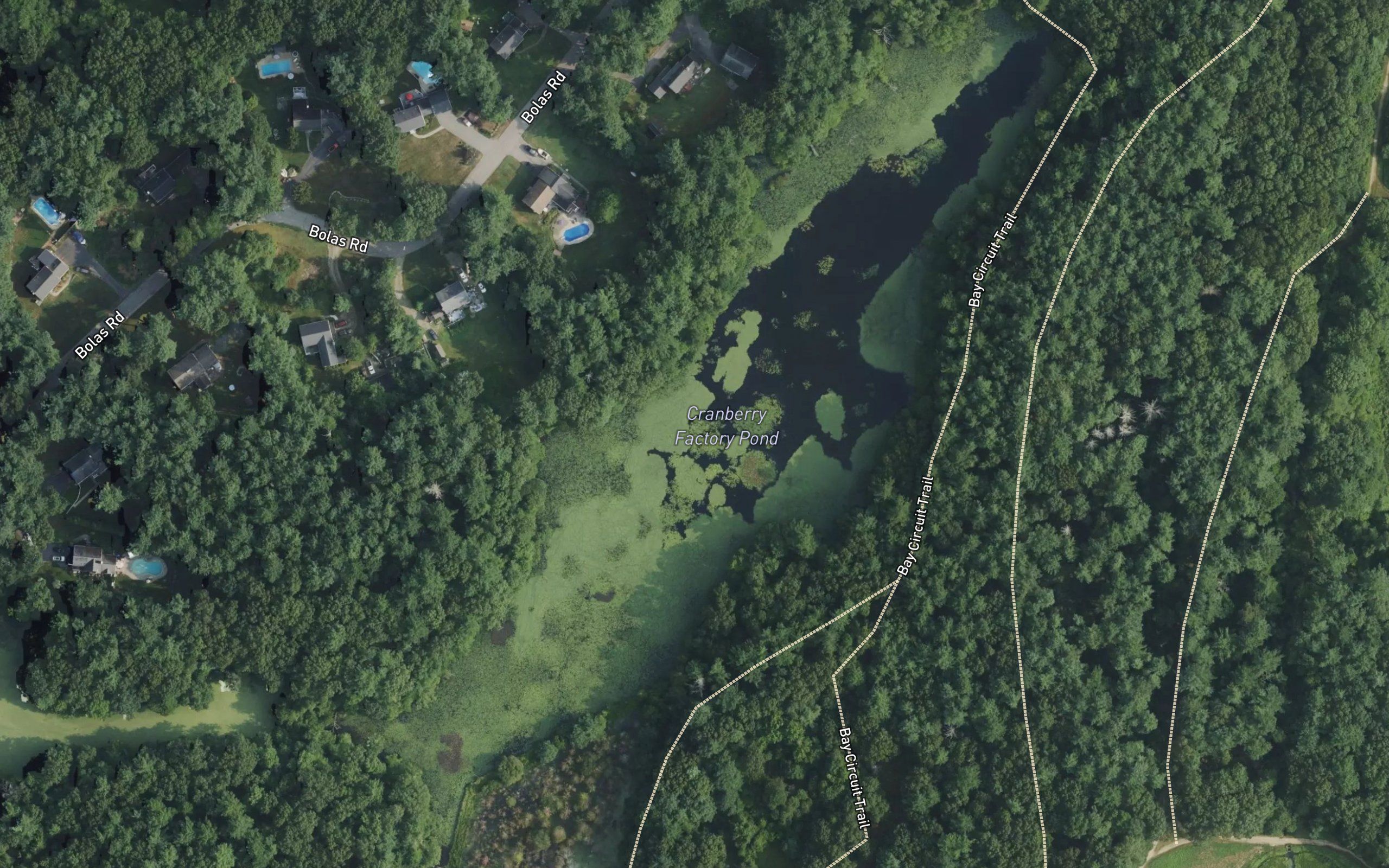 Cranberry Factory Pond