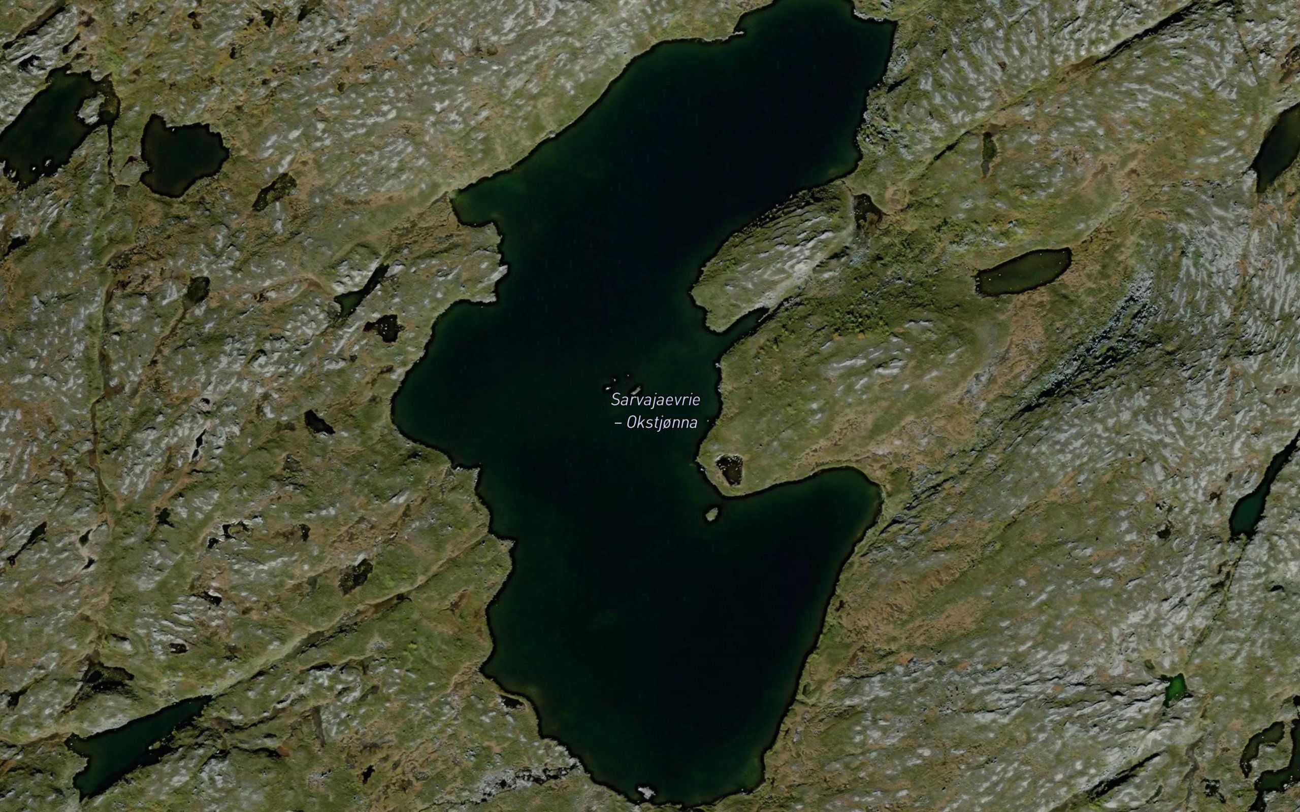 Okstjorna