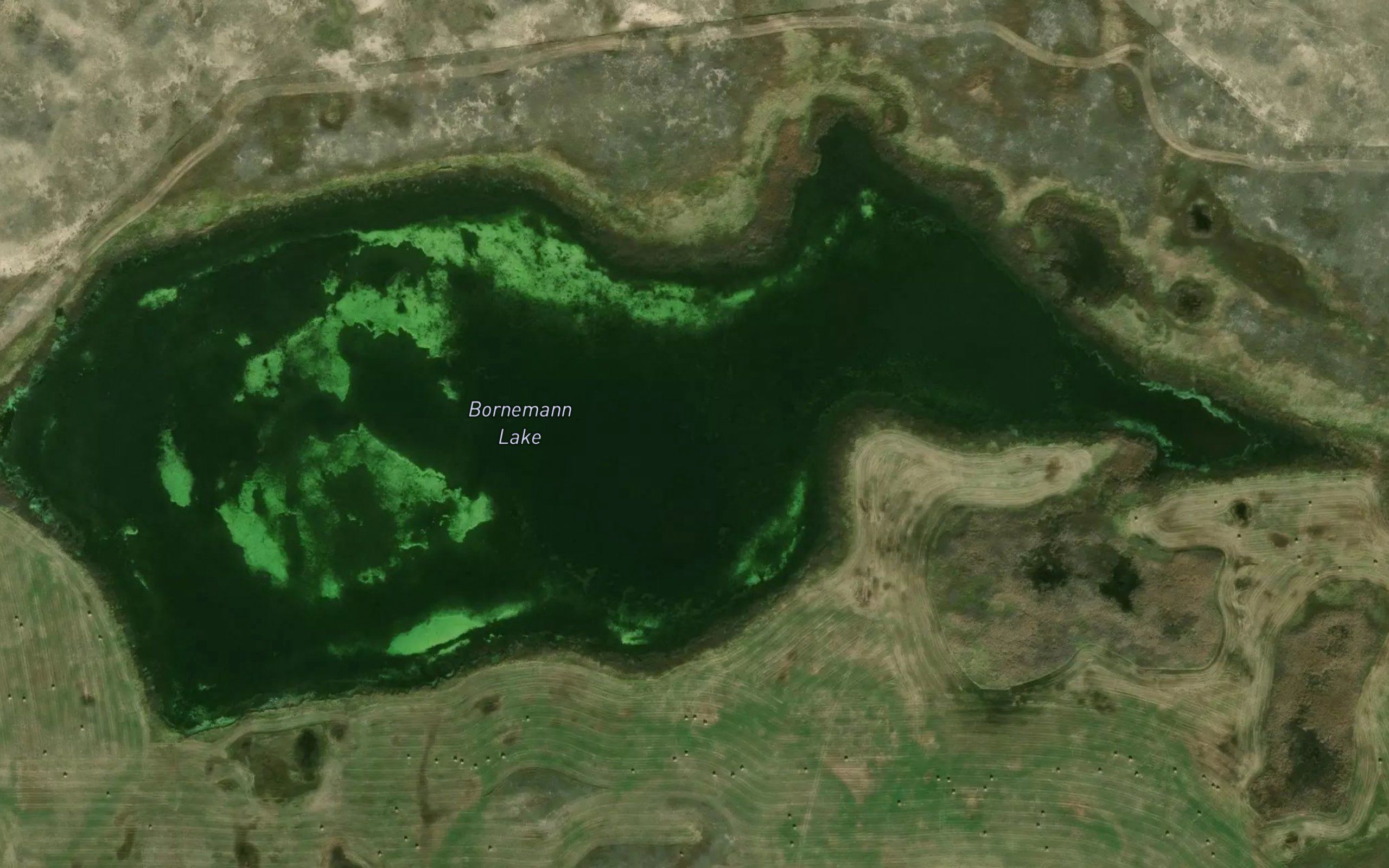 Bornemann Lake