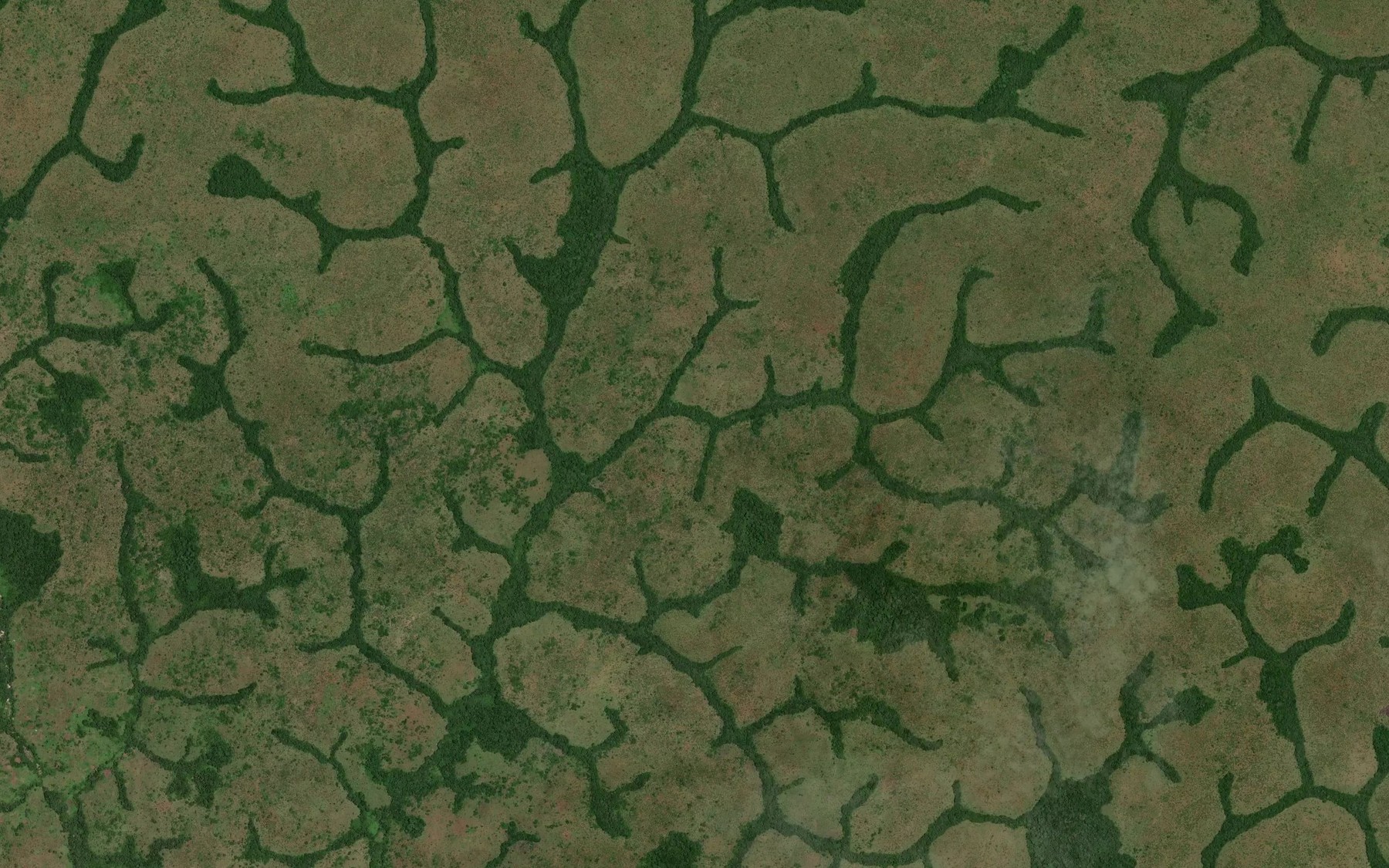 Satellite map of the Danali