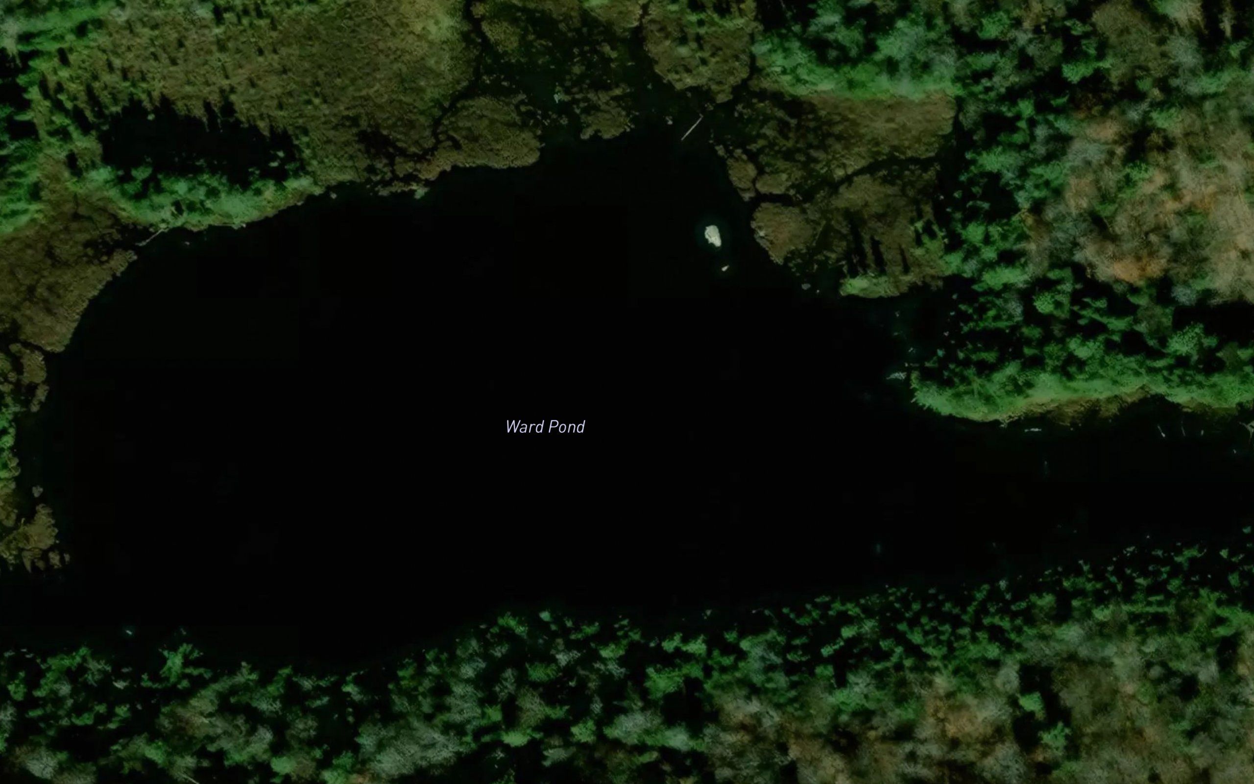 Ward Pond