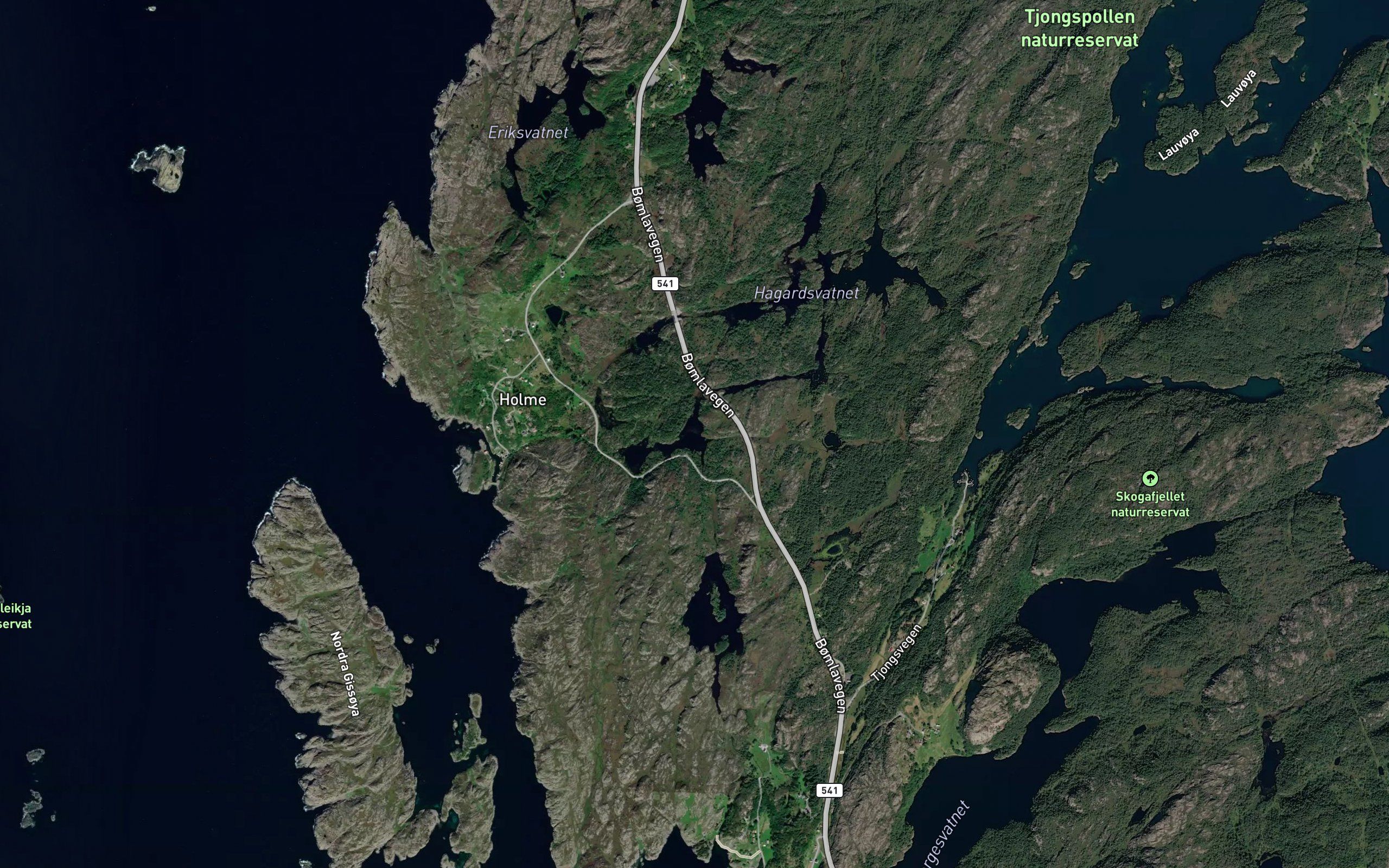 Tjongevatnet