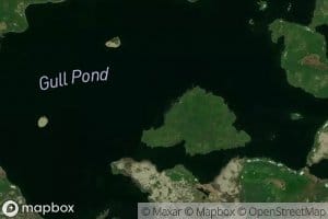 Gull Pond