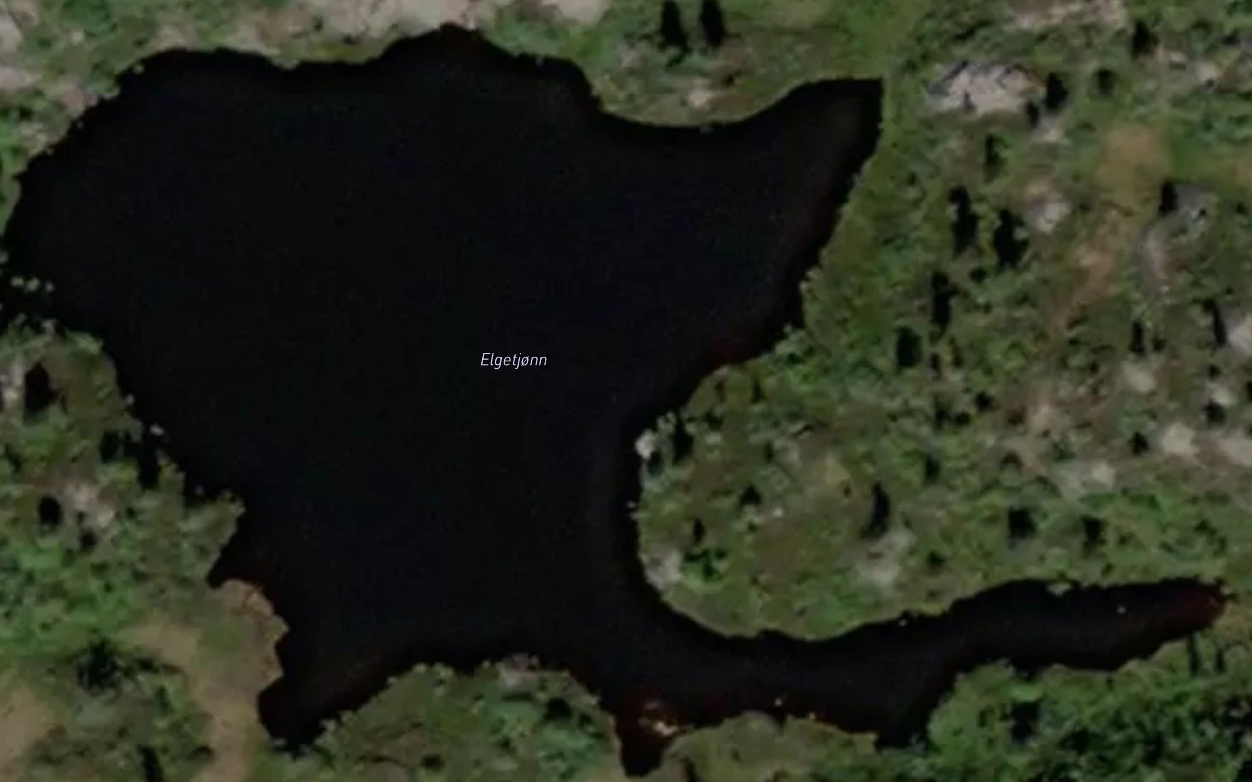 Elgetjonn