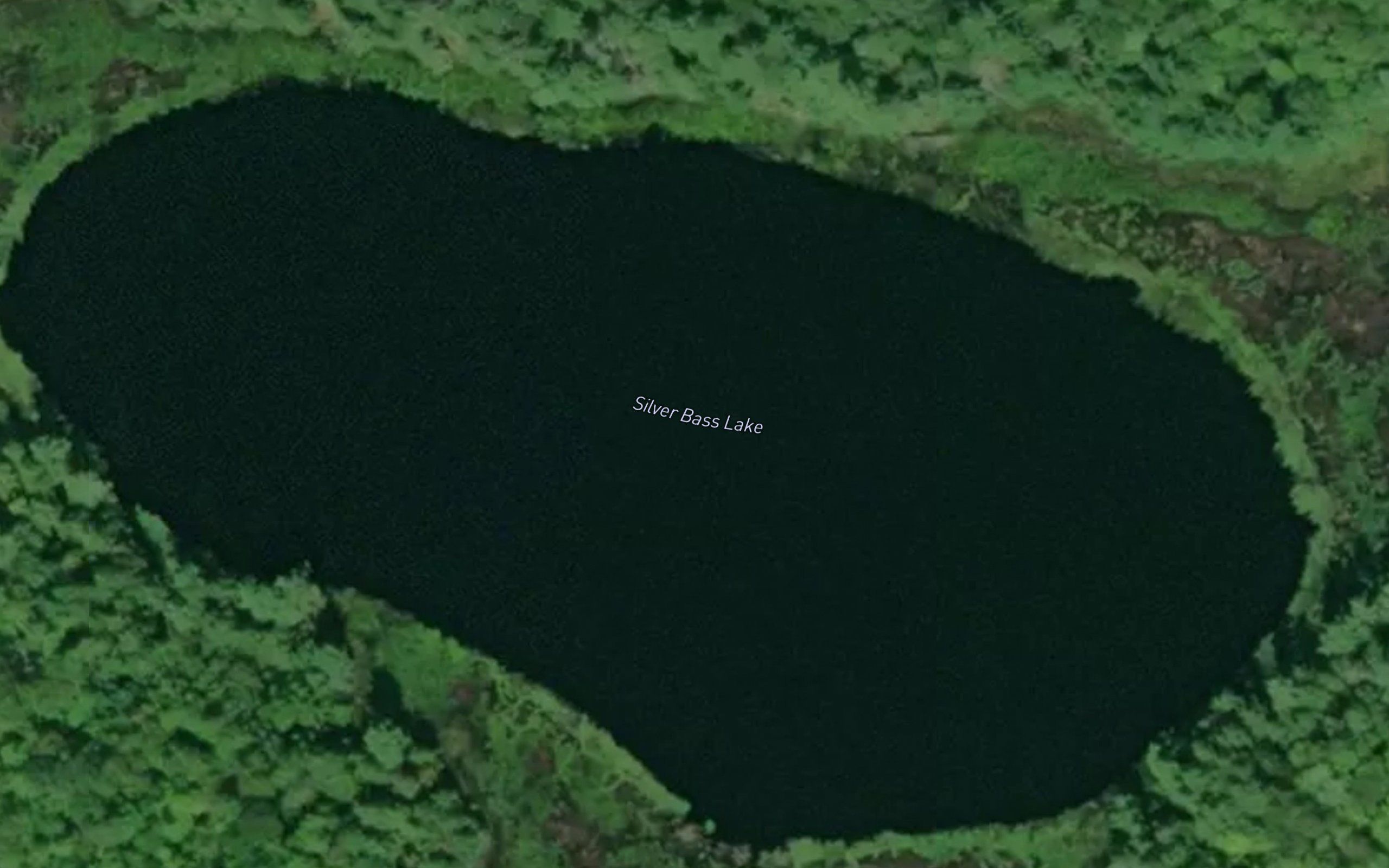 Silver Bass Lake